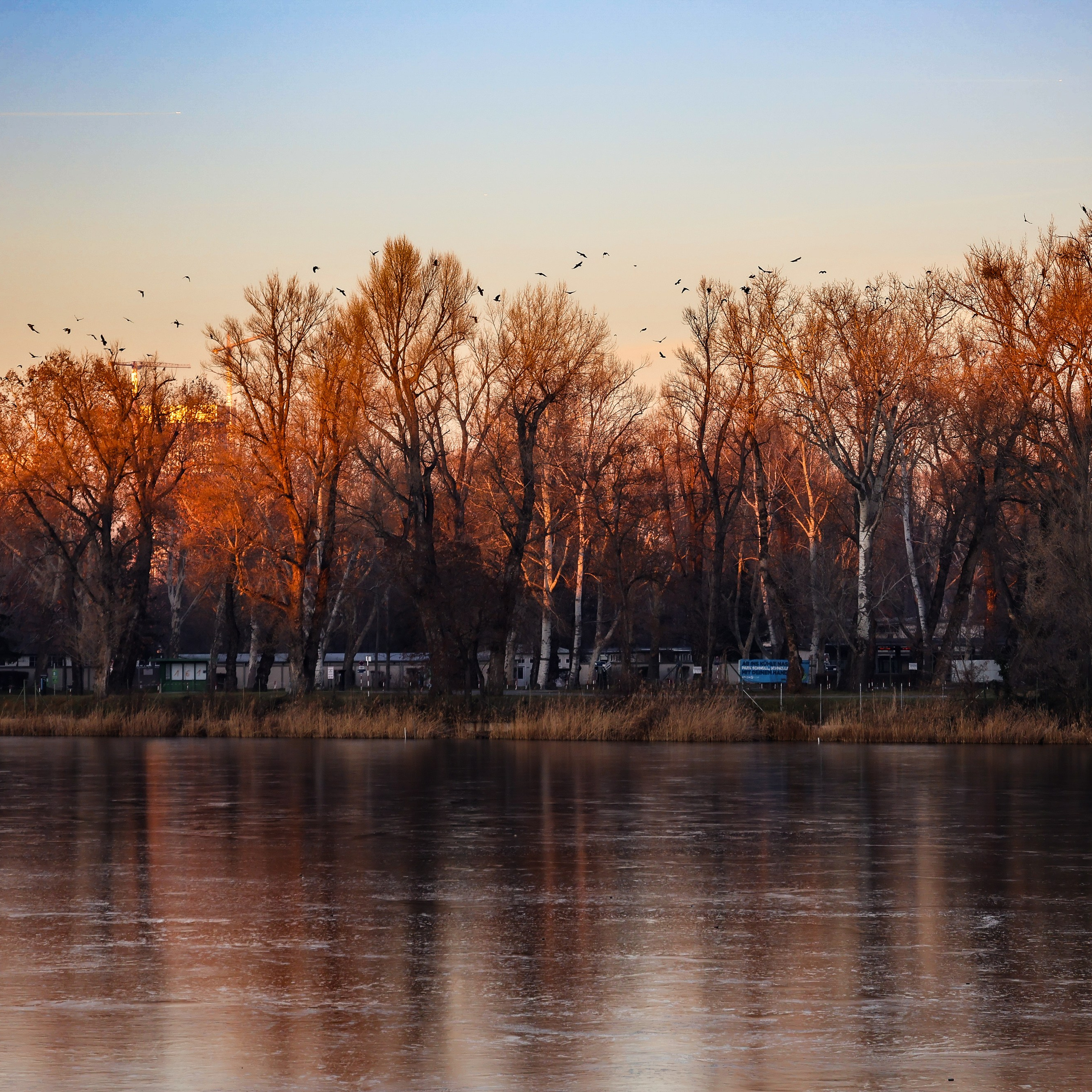 Danube Sunset