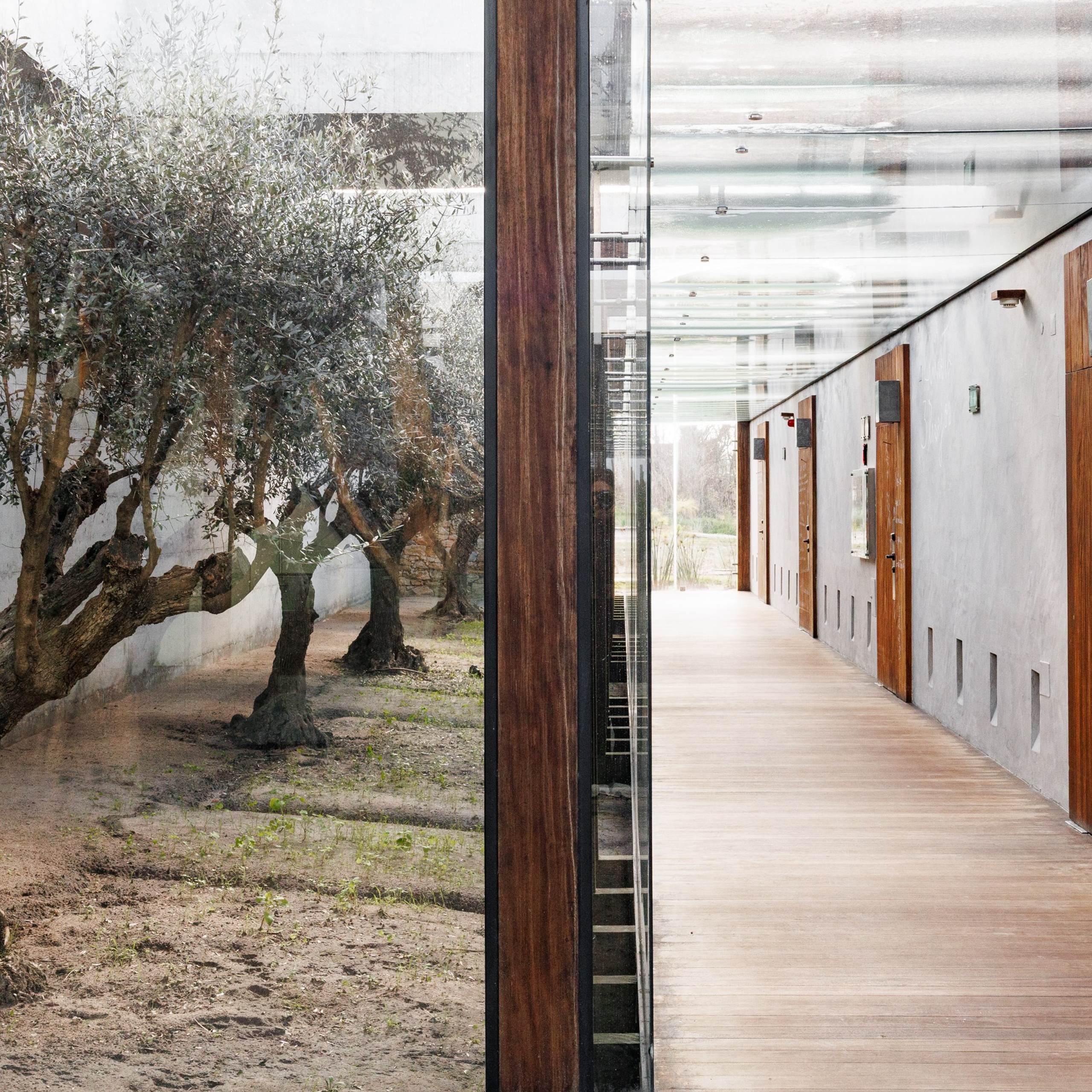 Reviews. Photographer in Lisbon Elena Lialina