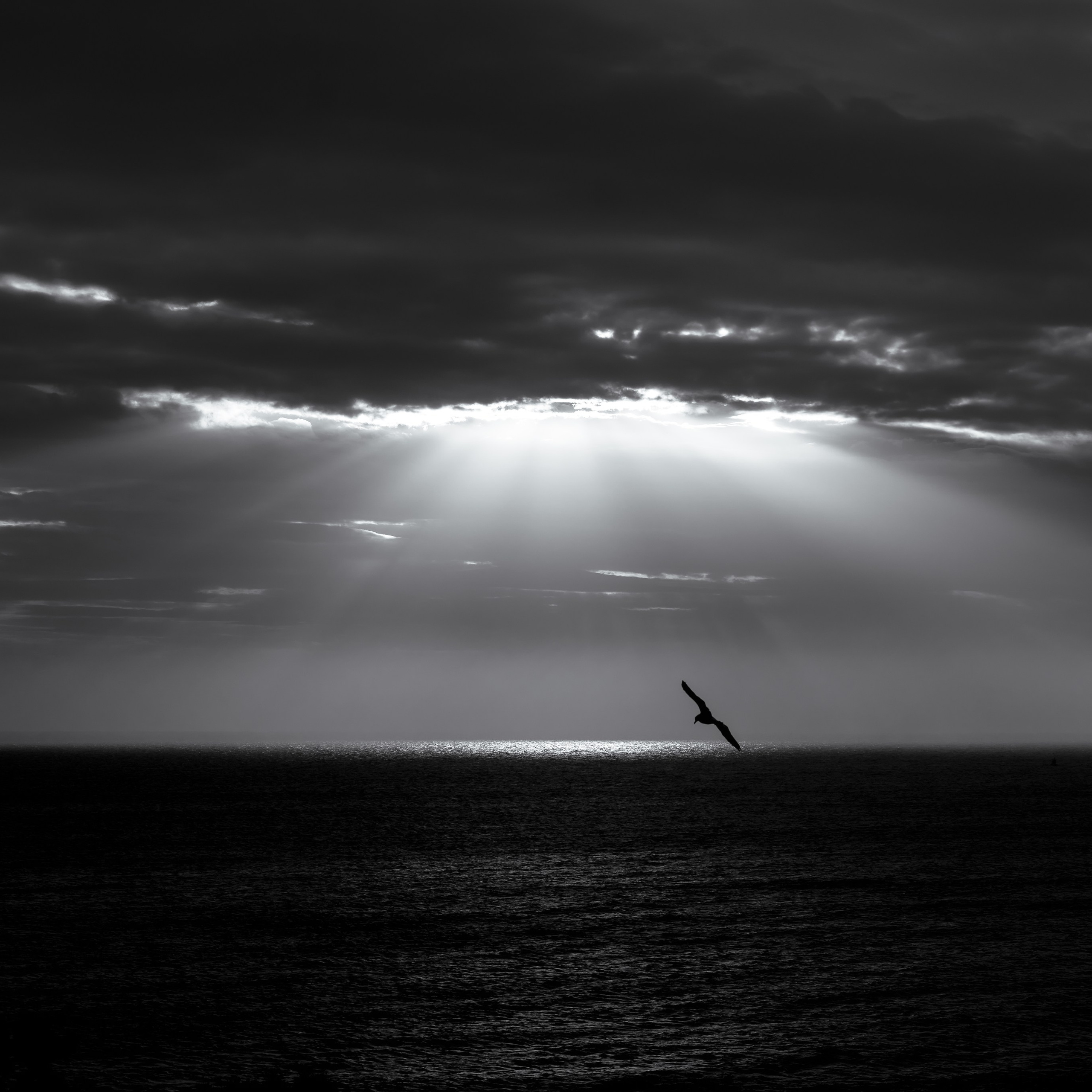 Die Kundenstimmen. Hochzeitsfotograf für Moers, Niederrhein, Düsseldorf, NRW und Deutschland