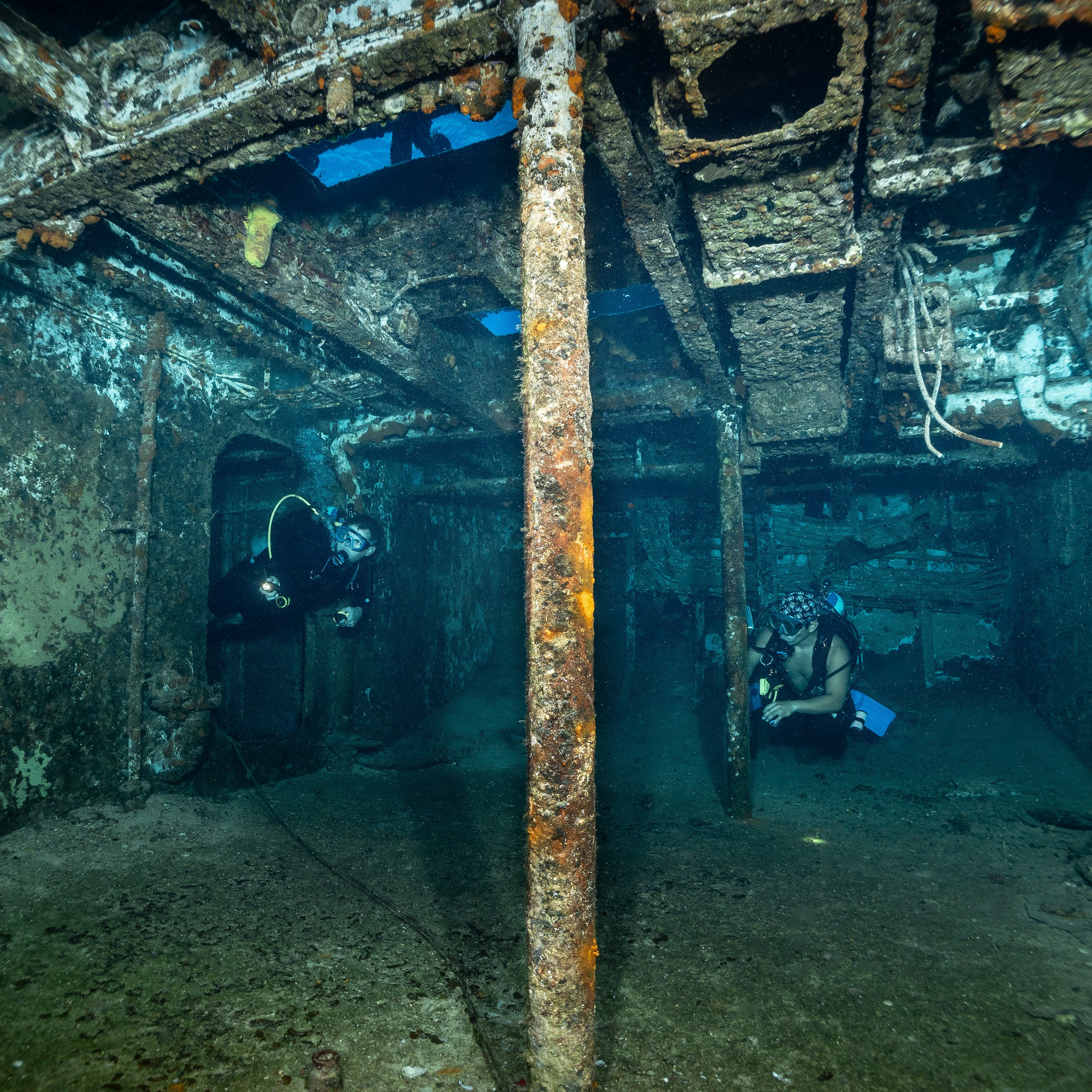 Testimonials. Your photographer on land and under water— Alexey Zaytsev