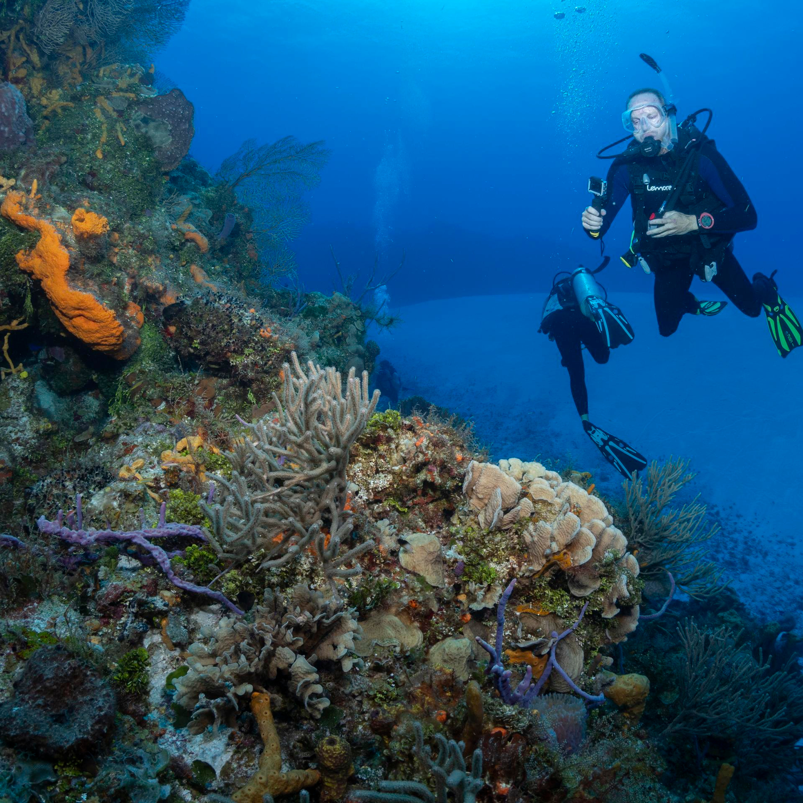 Testimonials. Your photographer on land and under water— Alexey Zaytsev