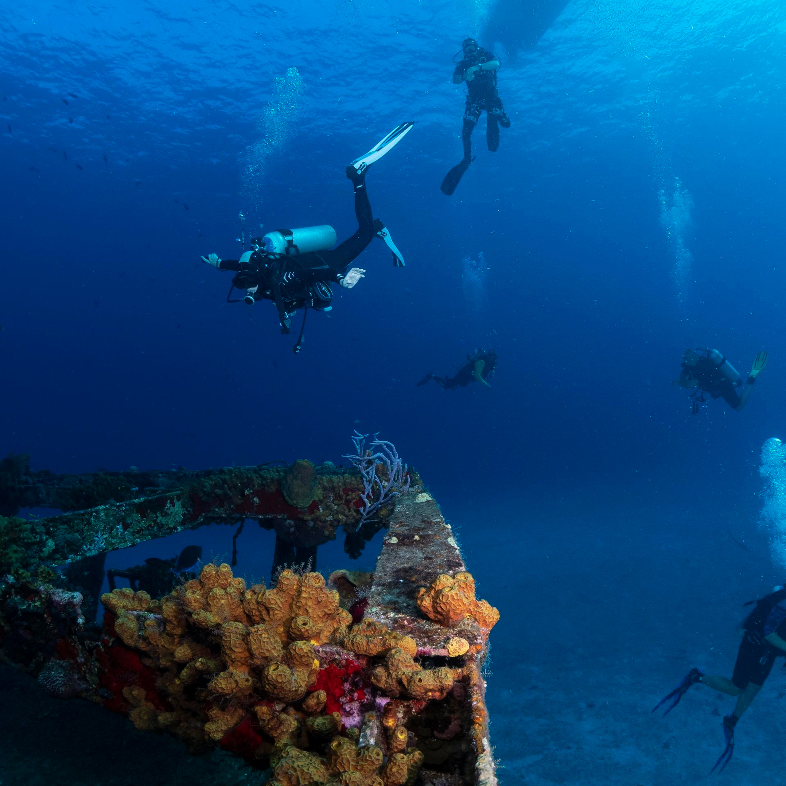 Testimonials. Your photographer on land and under water— Alexey Zaytsev