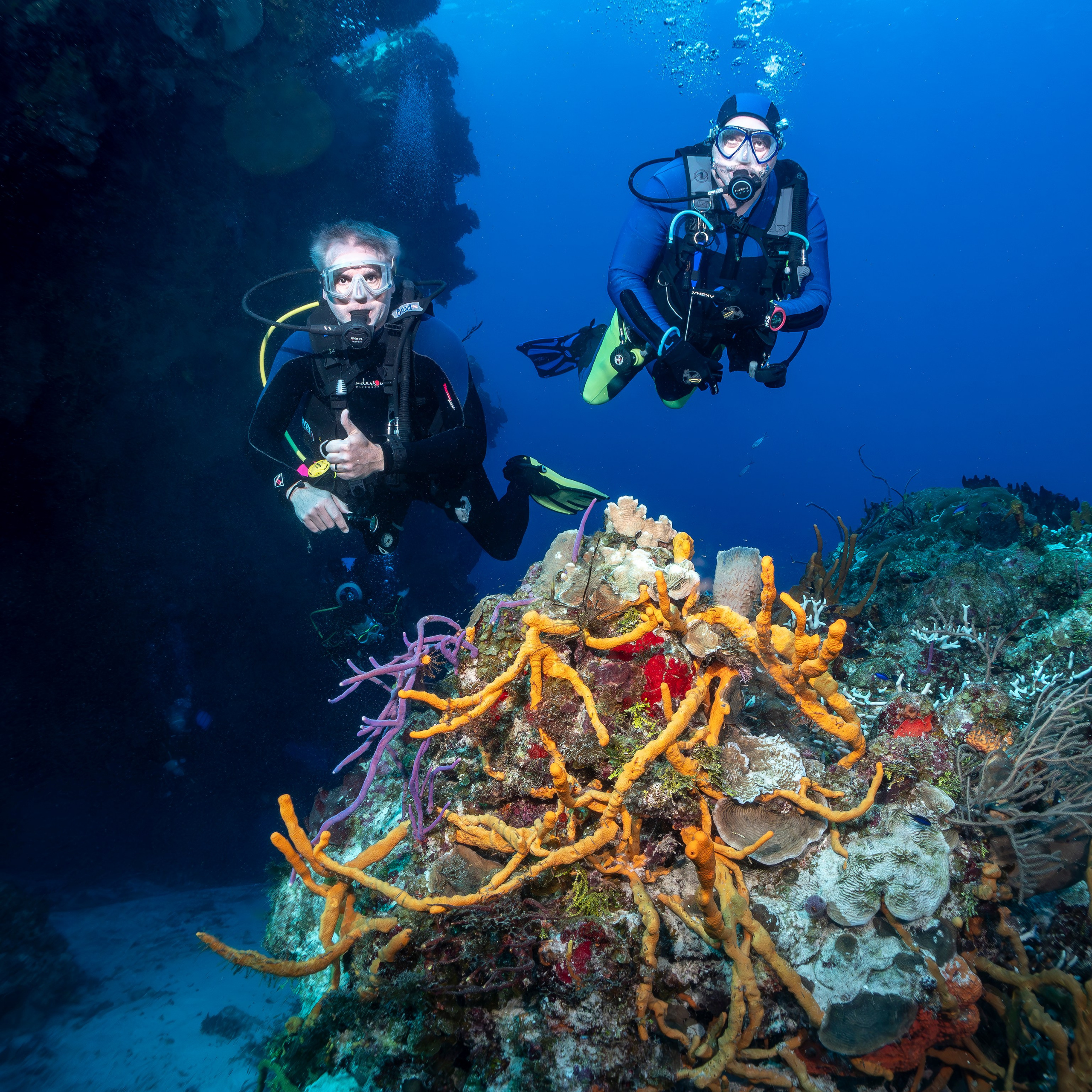 Testimonials. Your photographer on land and under water— Alexey Zaytsev