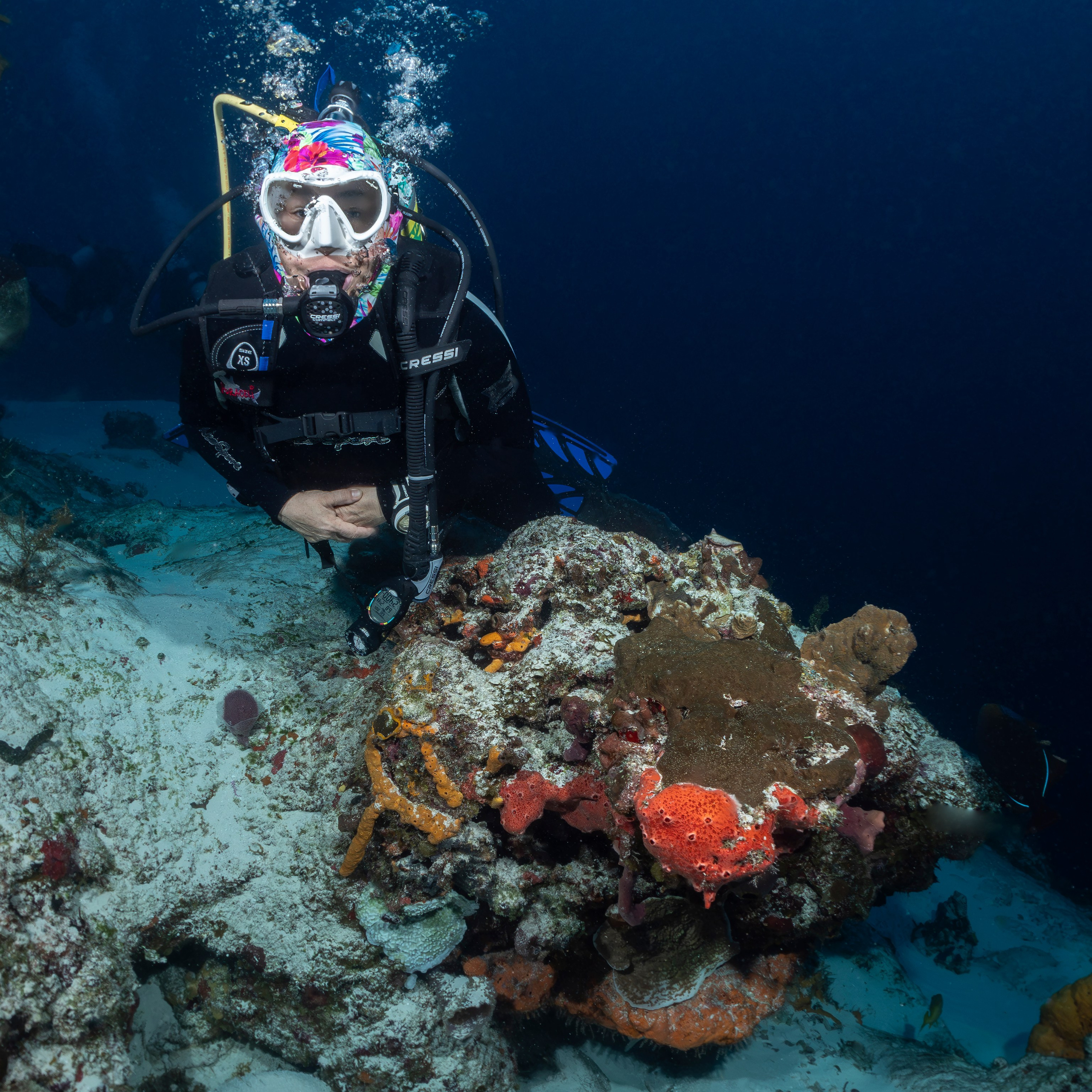 Testimonials. Your photographer on land and under water— Alexey Zaytsev