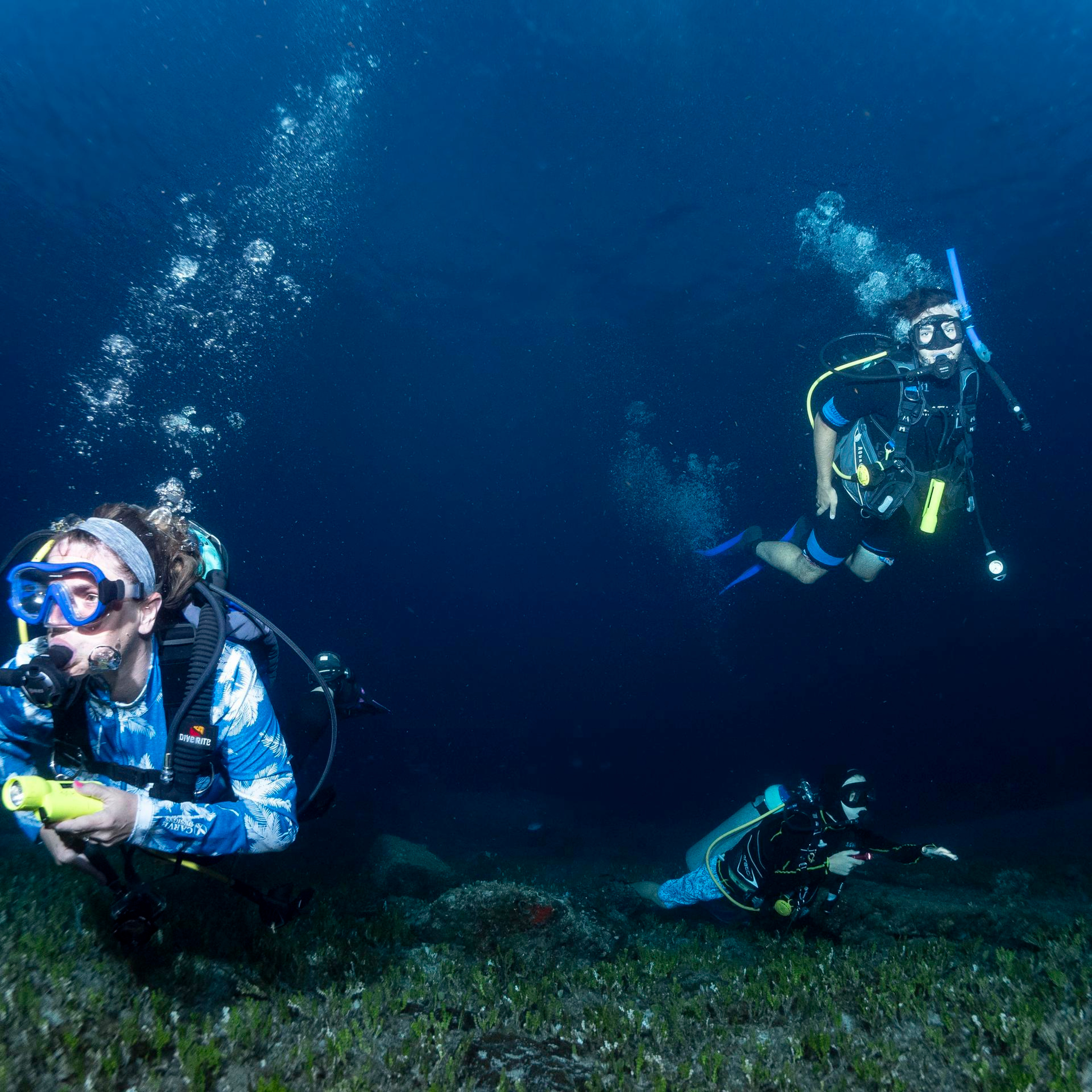 Testimonials. Your photographer on land and under water— Alexey Zaytsev