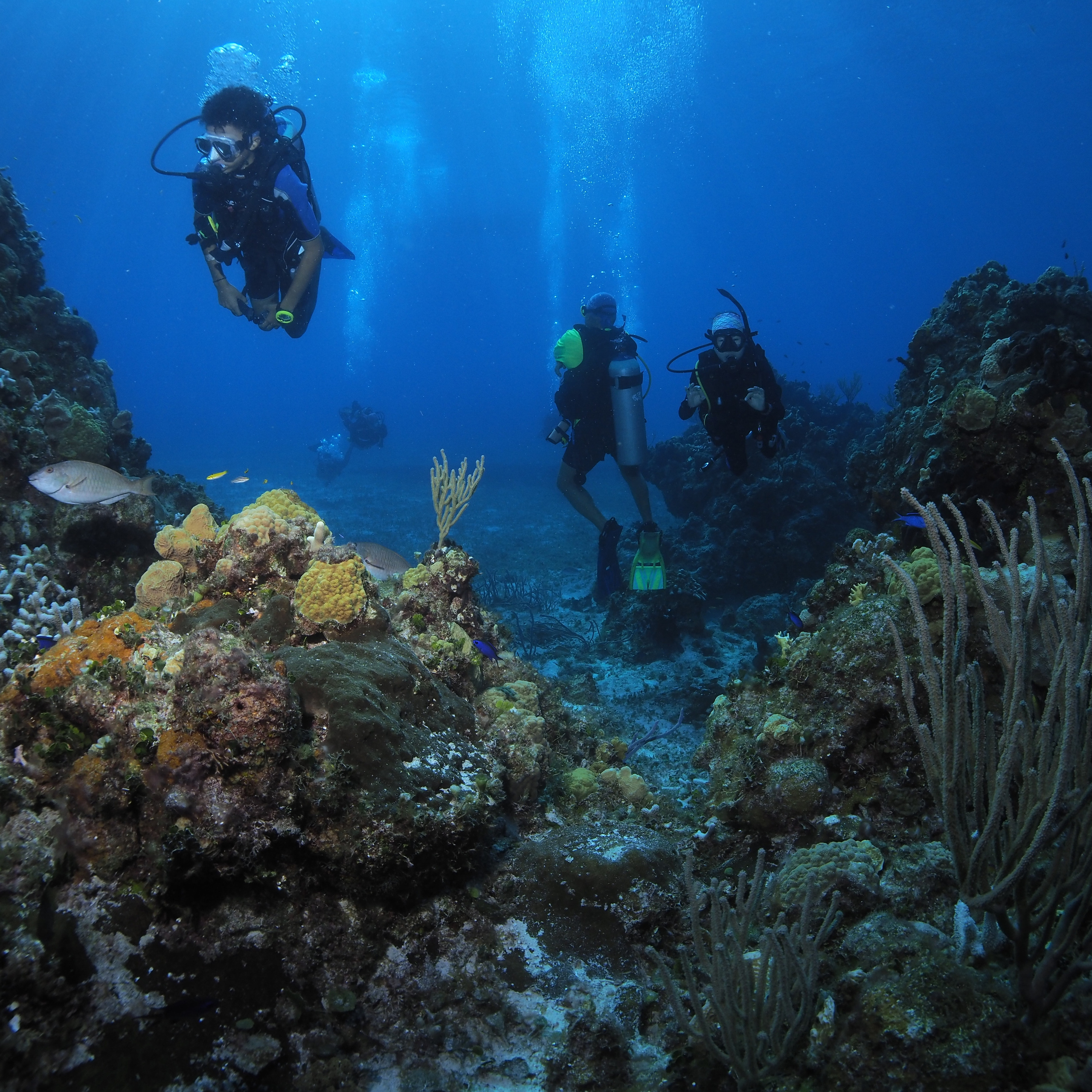 Testimonials. Your photographer on land and under water— Alexey Zaytsev