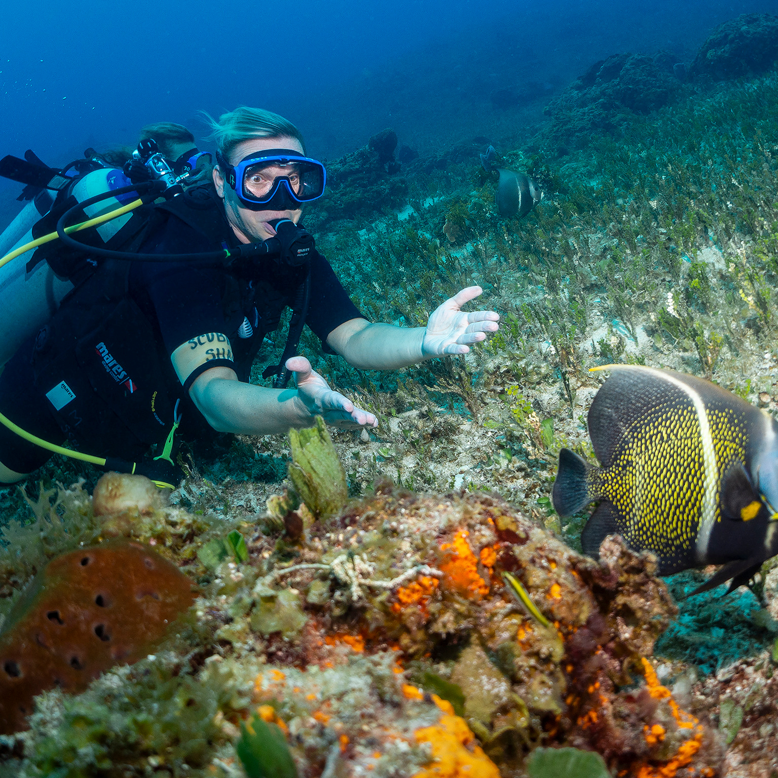 Testimonials. Your photographer on land and under water— Alexey Zaytsev