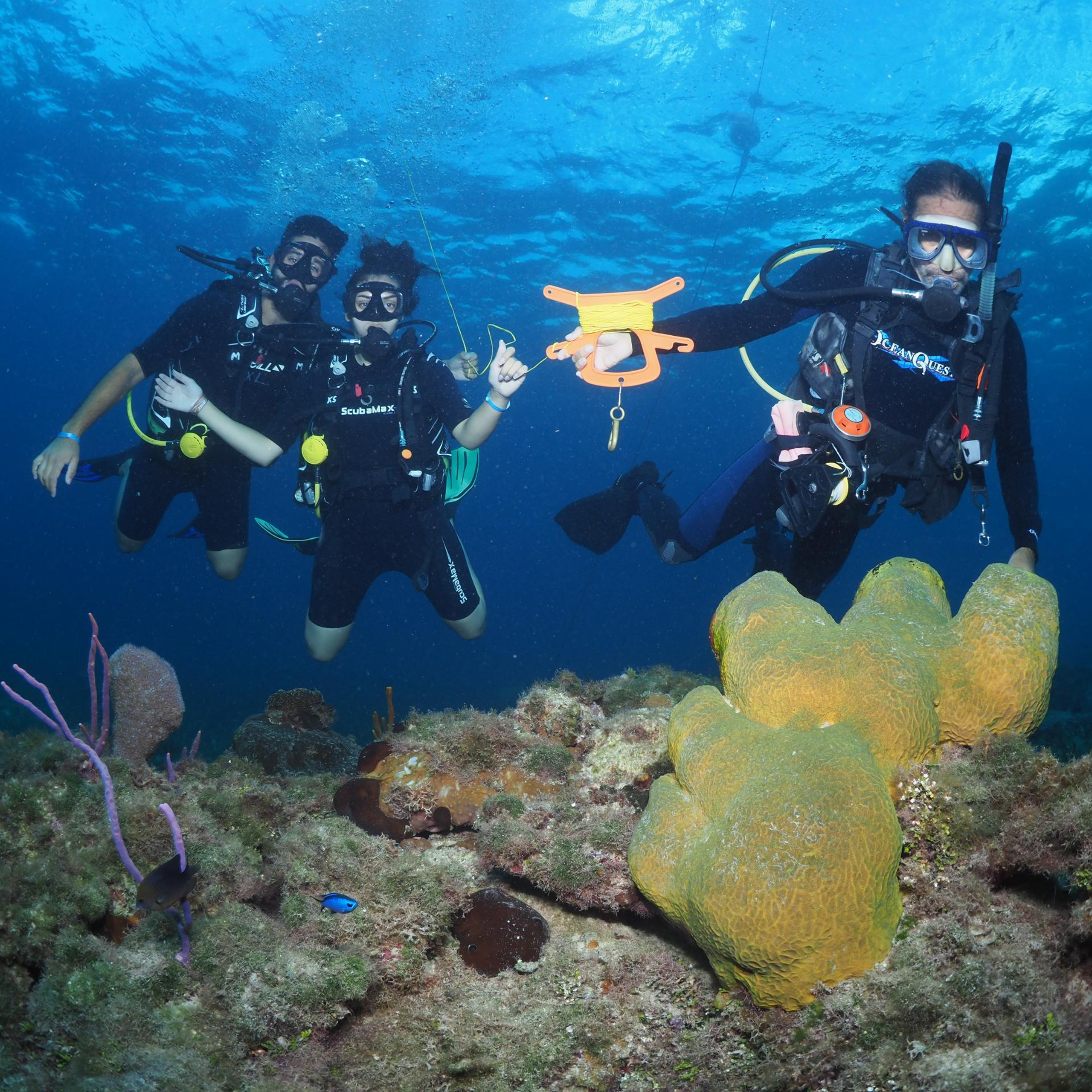 Testimonials. Your photographer on land and under water— Alexey Zaytsev