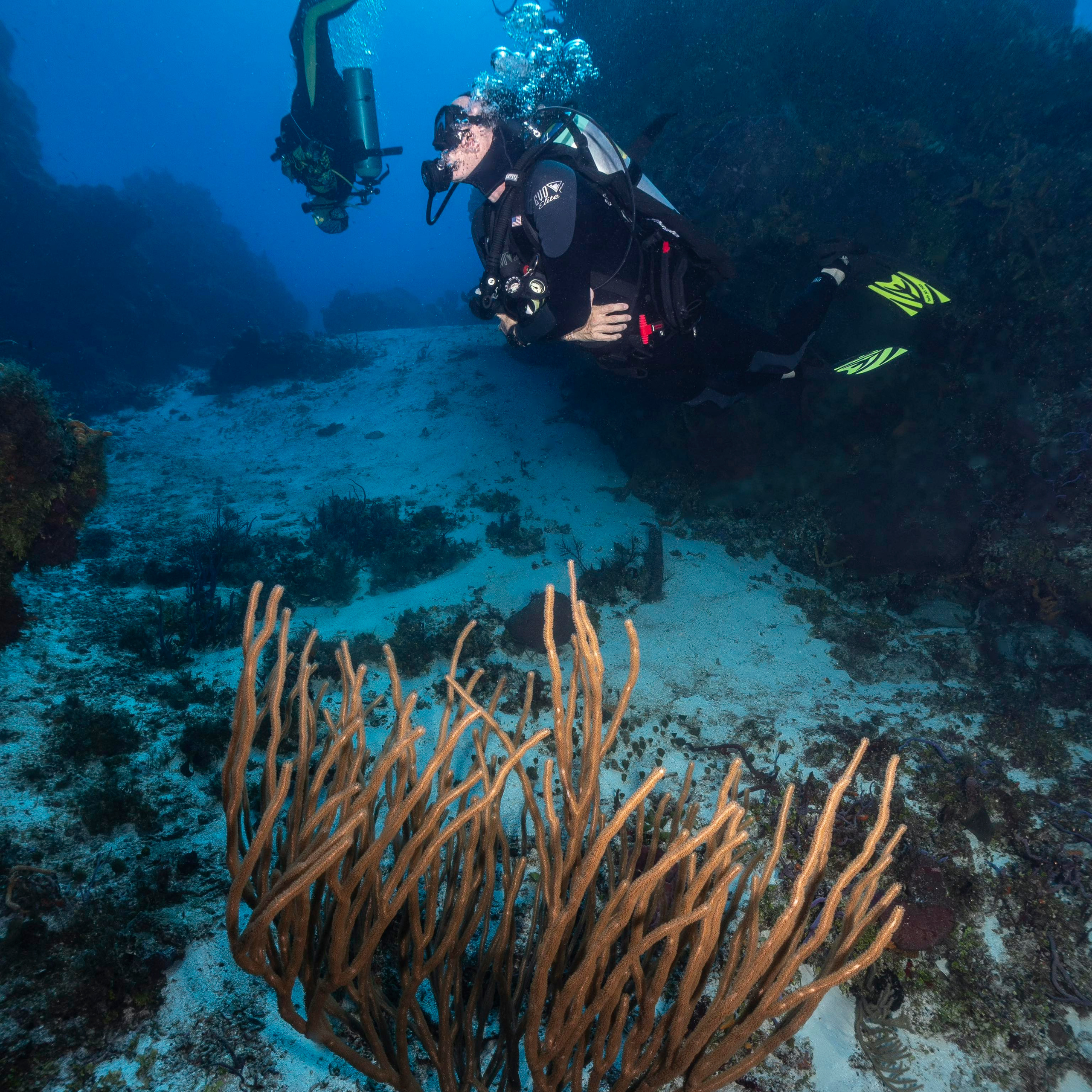 Testimonials. Your photographer on land and under water— Alexey Zaytsev