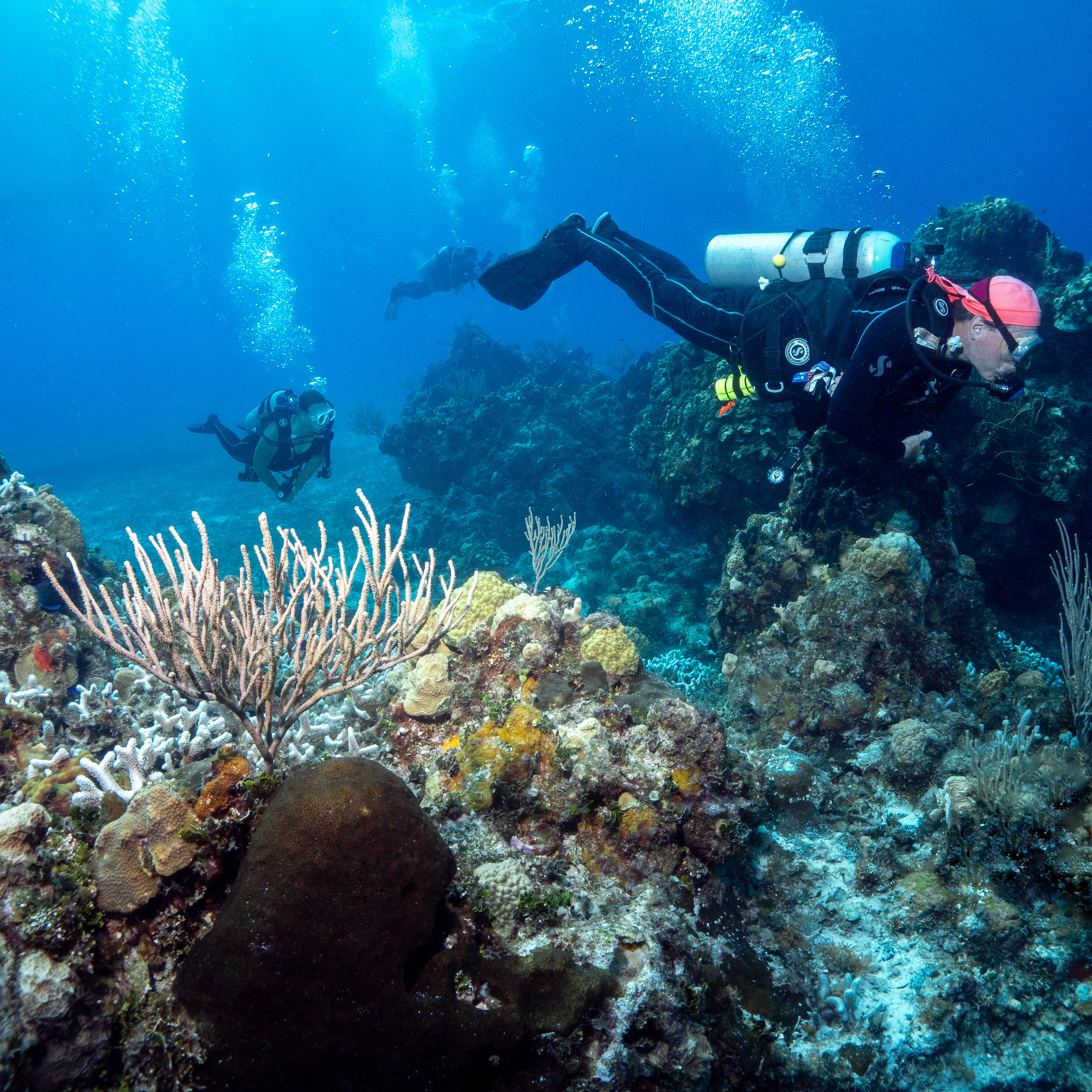 Testimonials. Your photographer on land and under water— Alexey Zaytsev