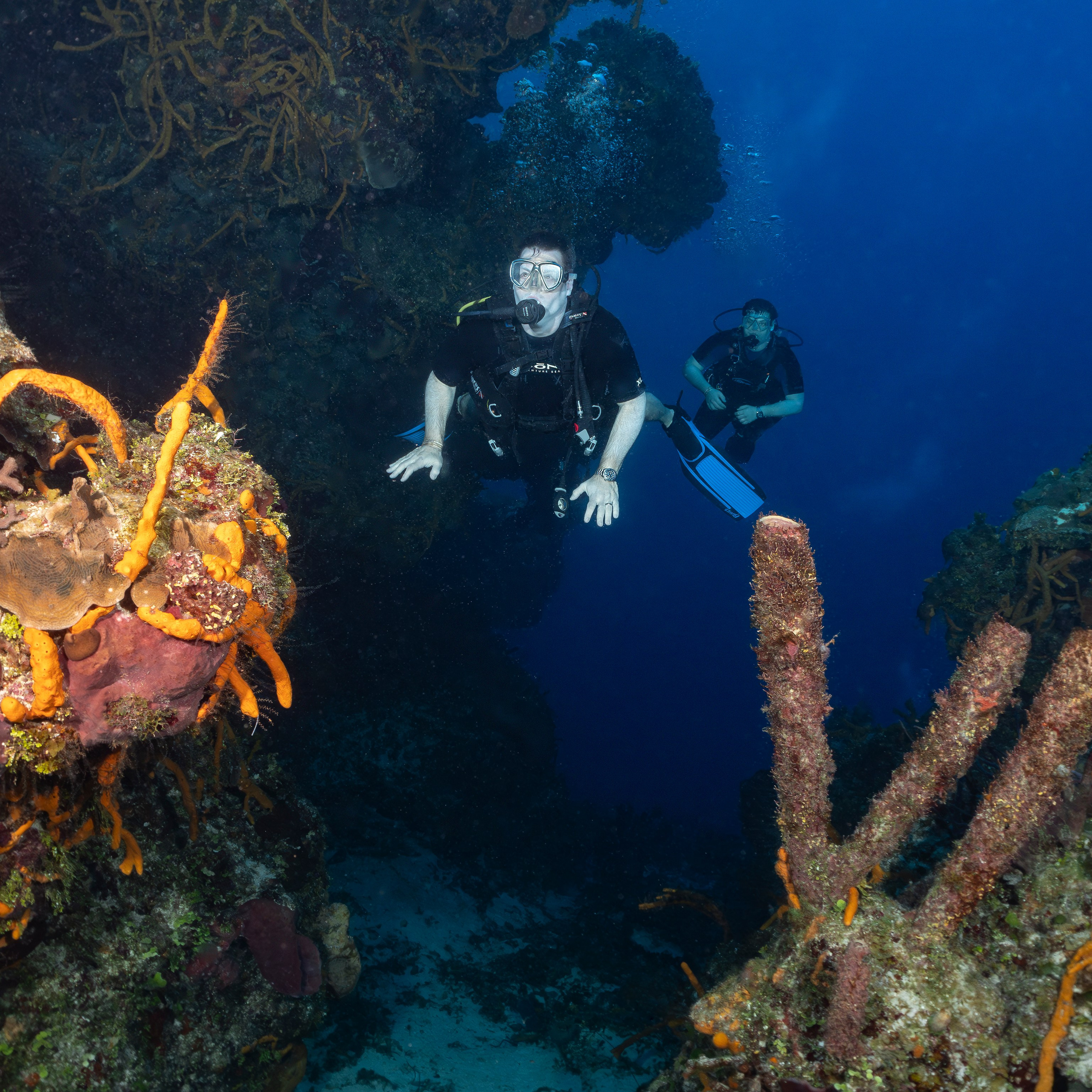 Testimonials. Your photographer on land and under water— Alexey Zaytsev