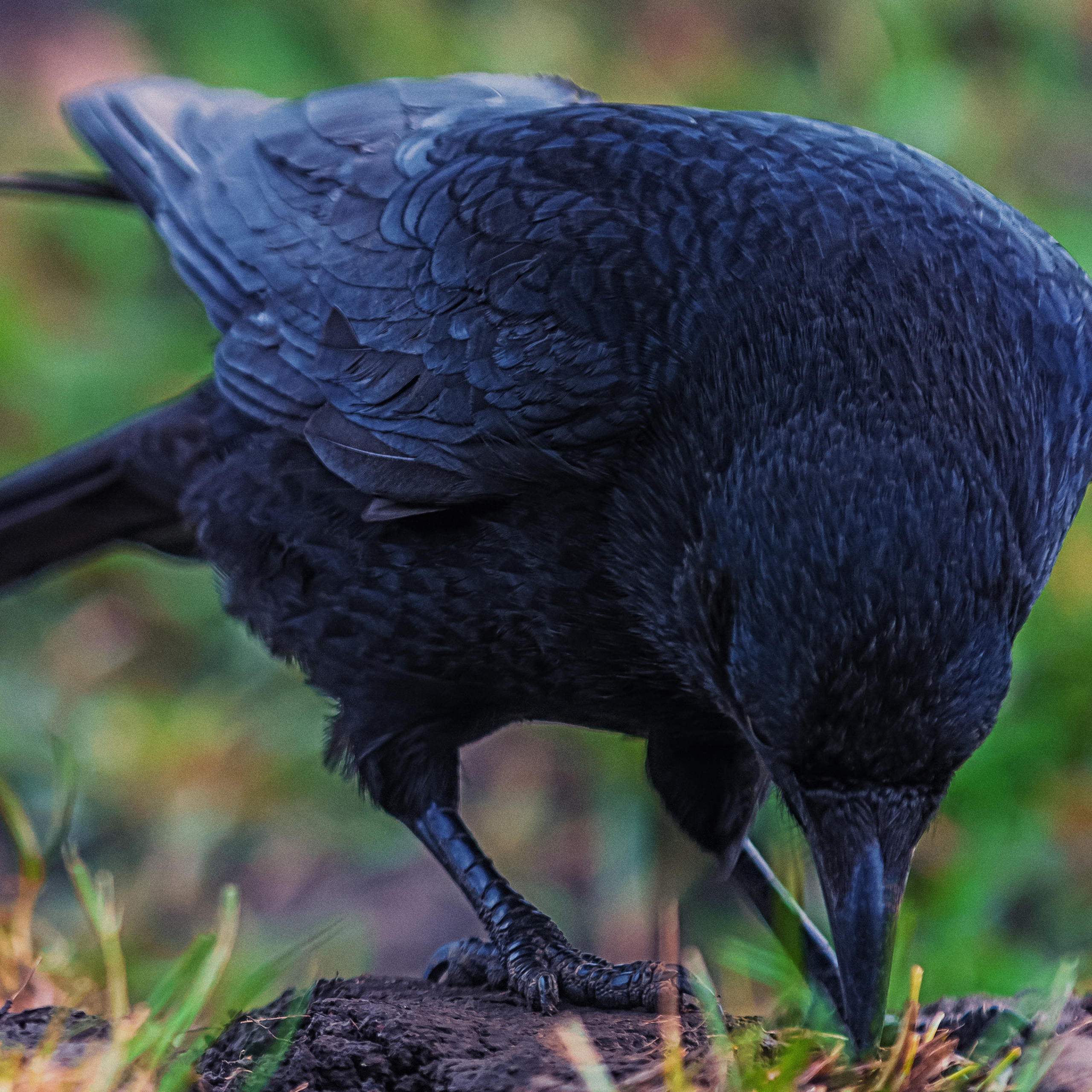 35 AWARDS 2022 VÖDEL