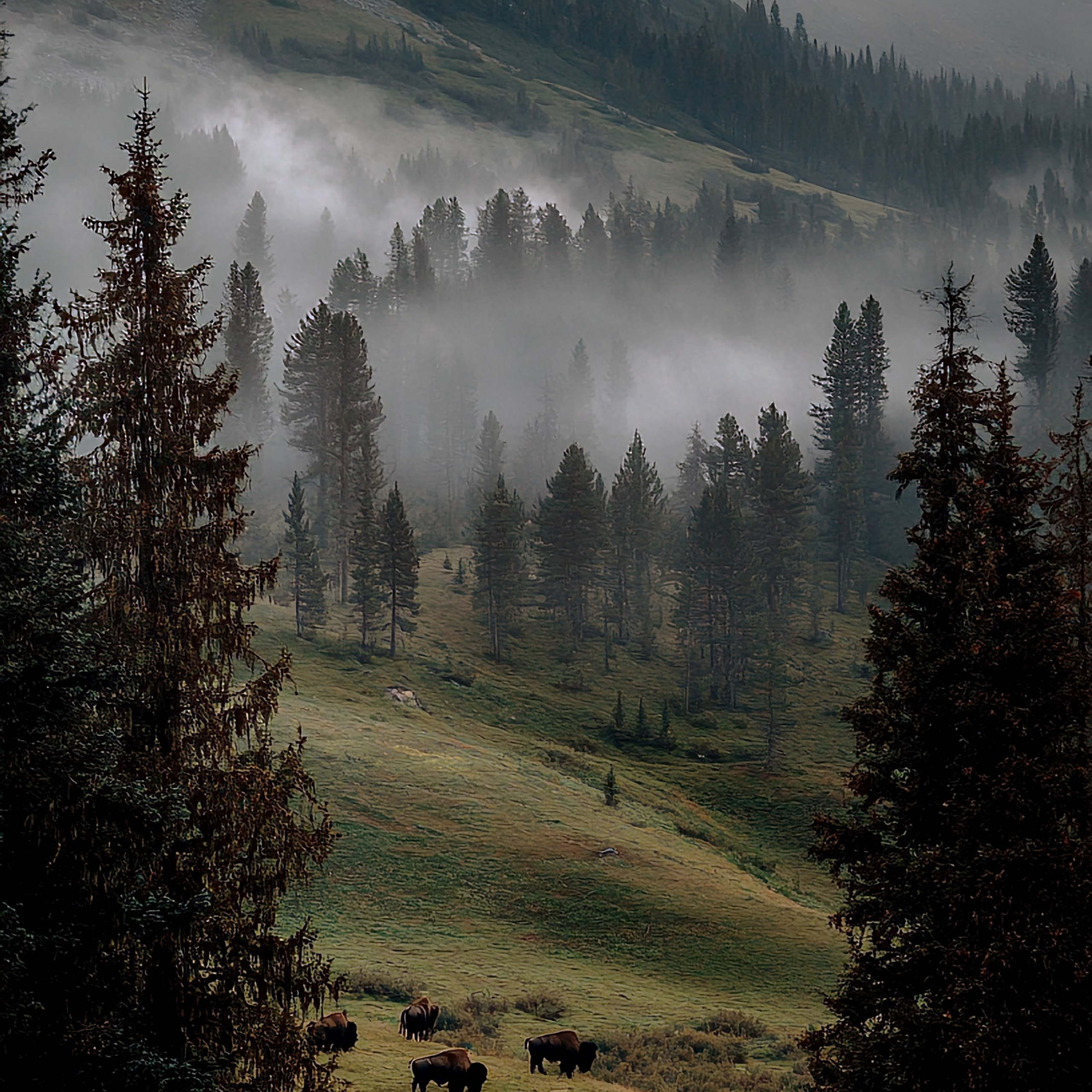 ПЕЙЗАЖ ФОТО СОЗДАНОЕ НЕЙРОСЕТЬЮ