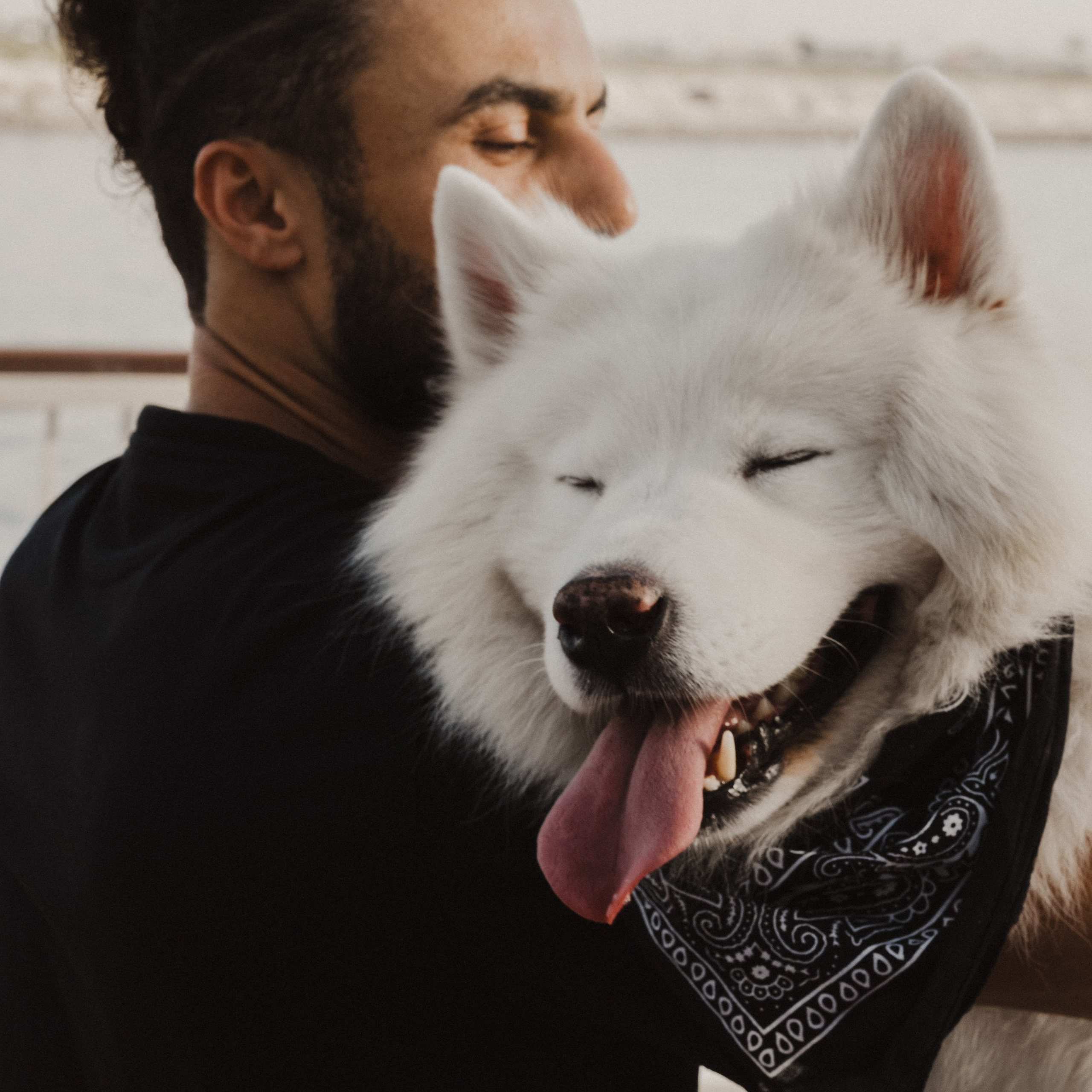 Neighbour. Photographer