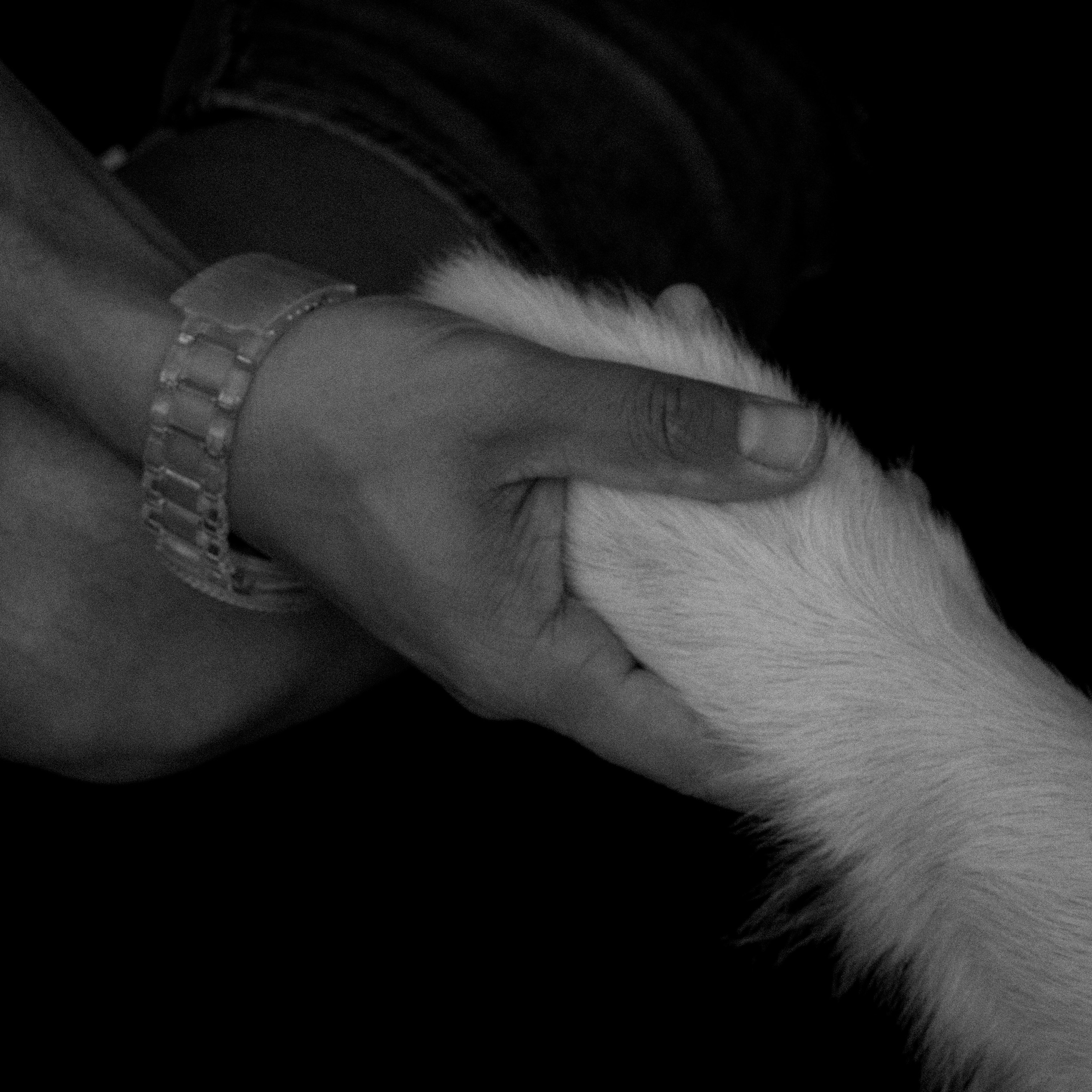 Neighbour. Photographer