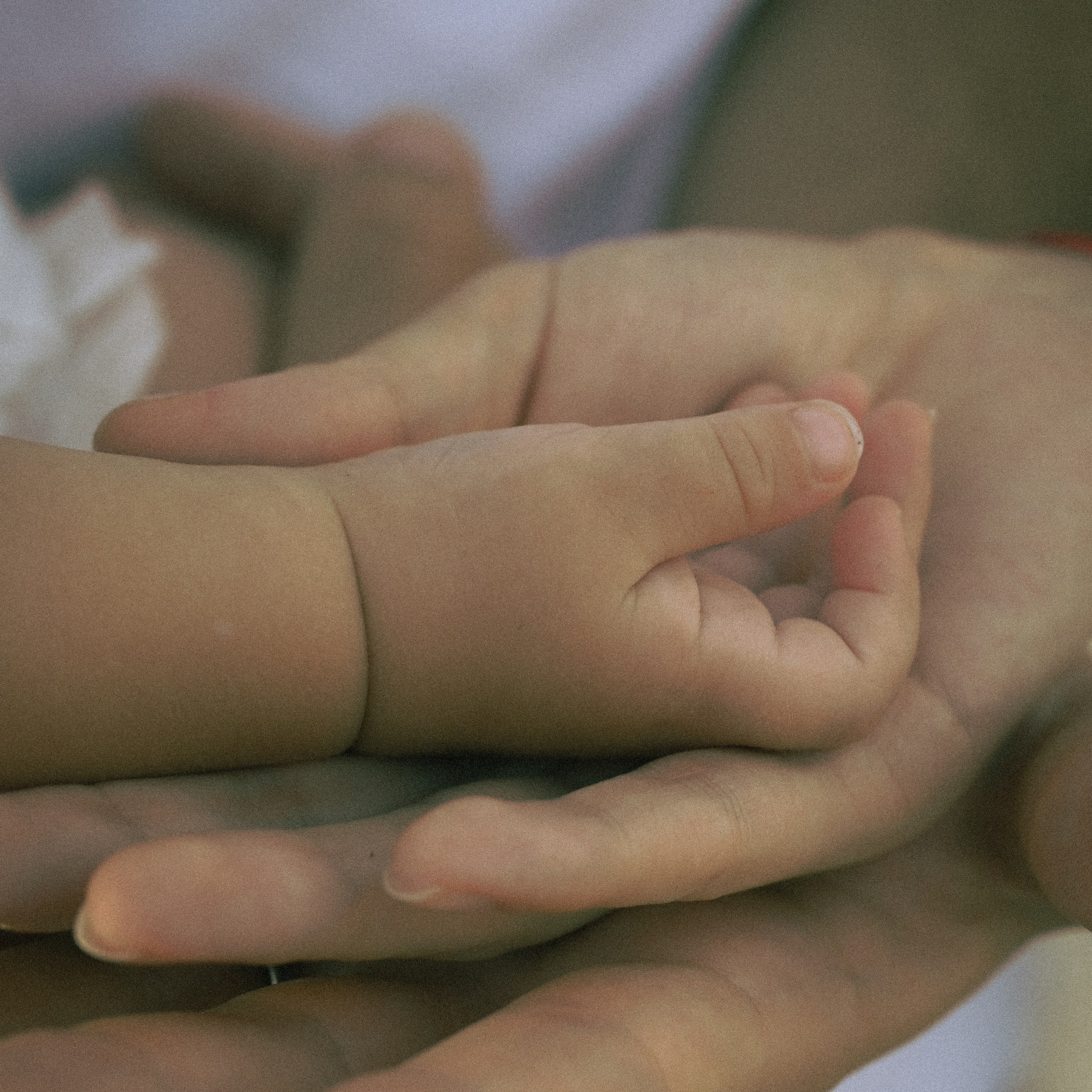 Family photoshoot. Photographer
