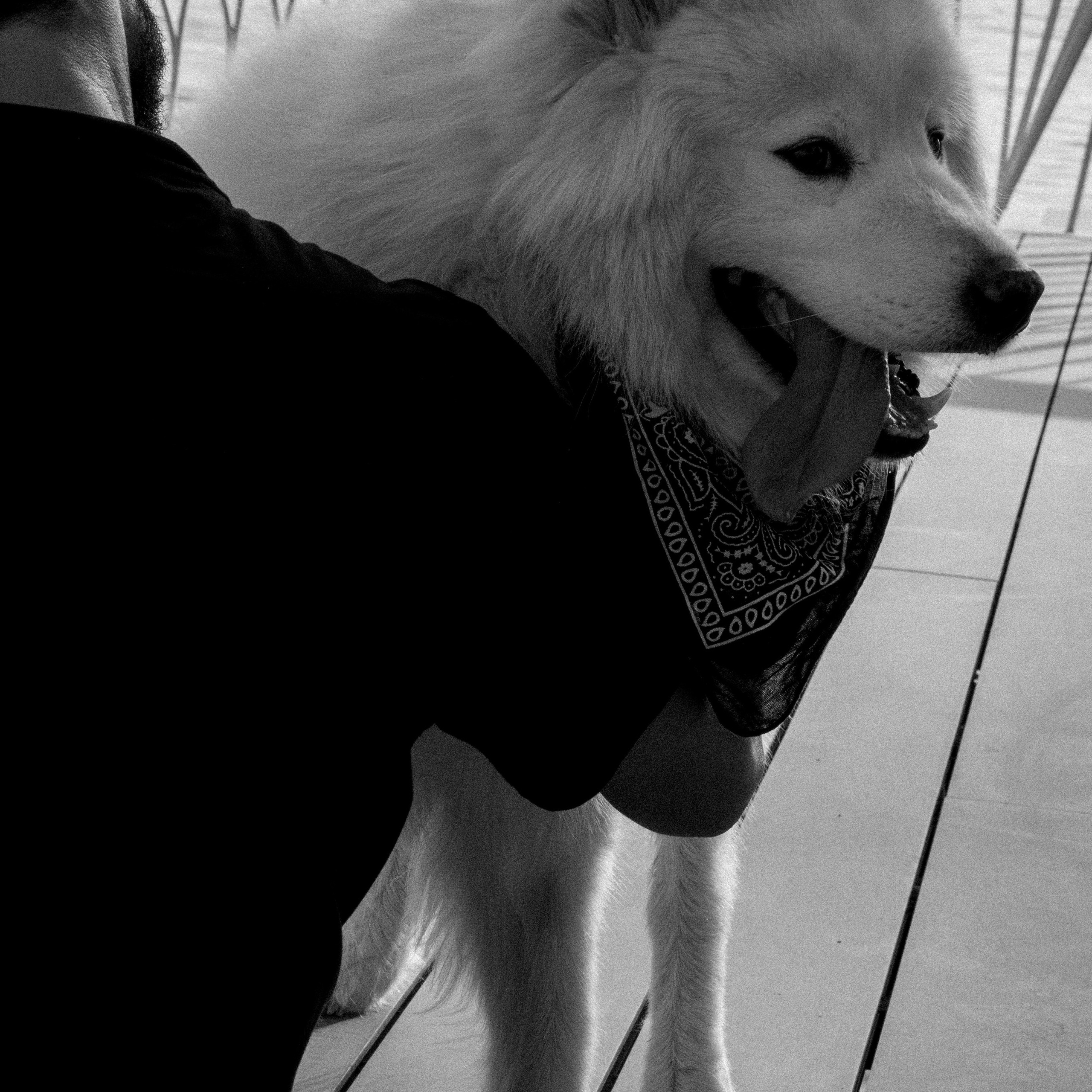 Neighbour. Photographer