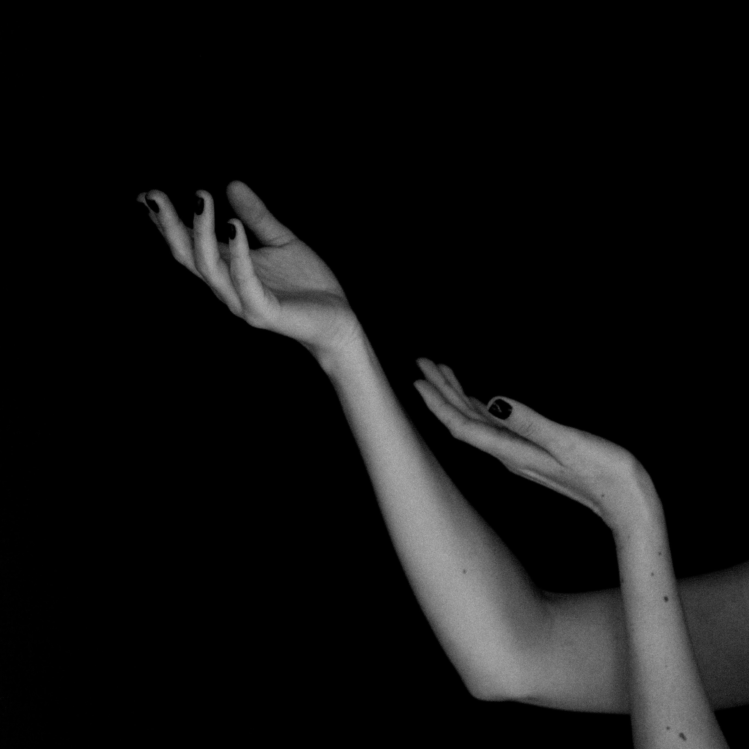 The piano keys. Photographer