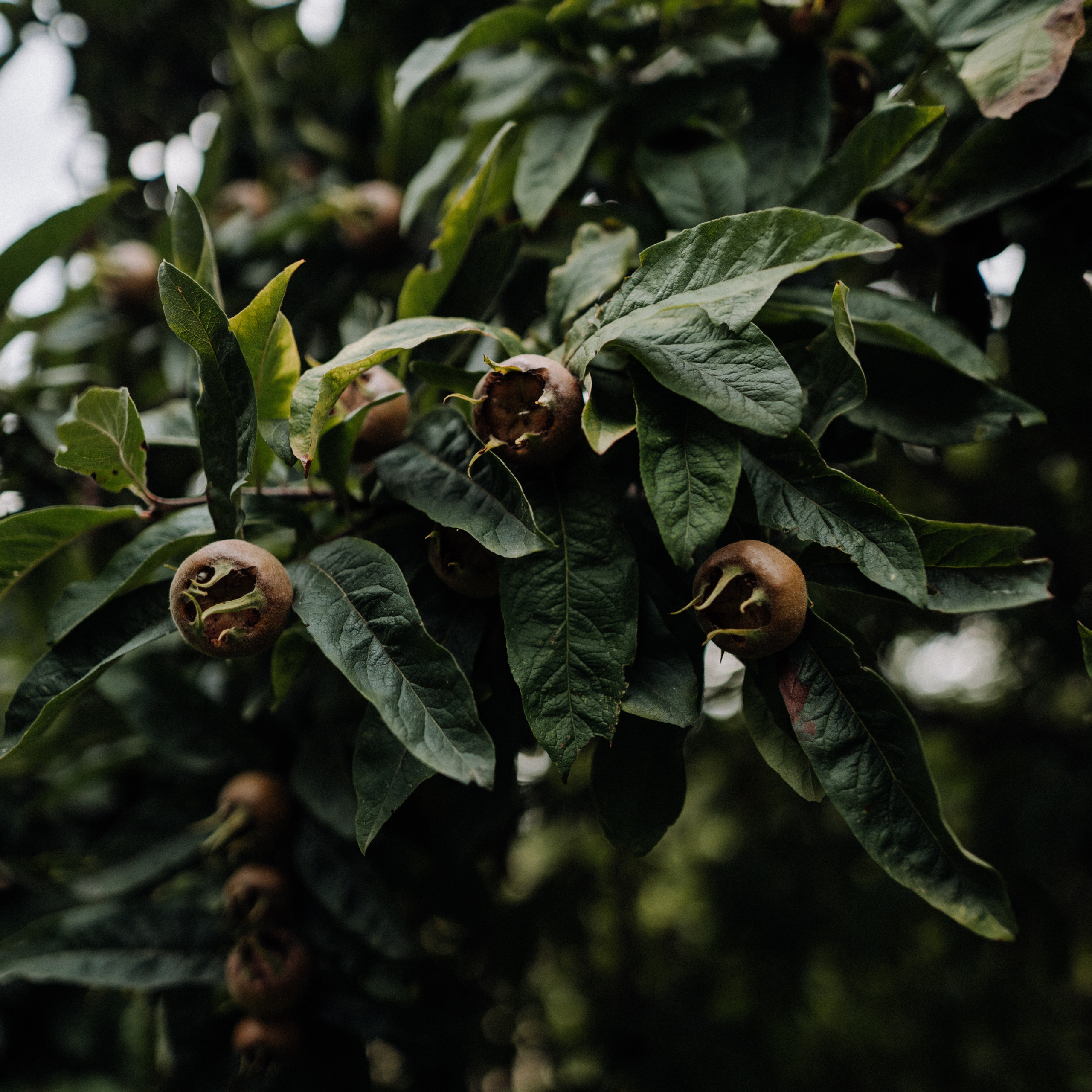Фотограф в Праге Анна Лебедева