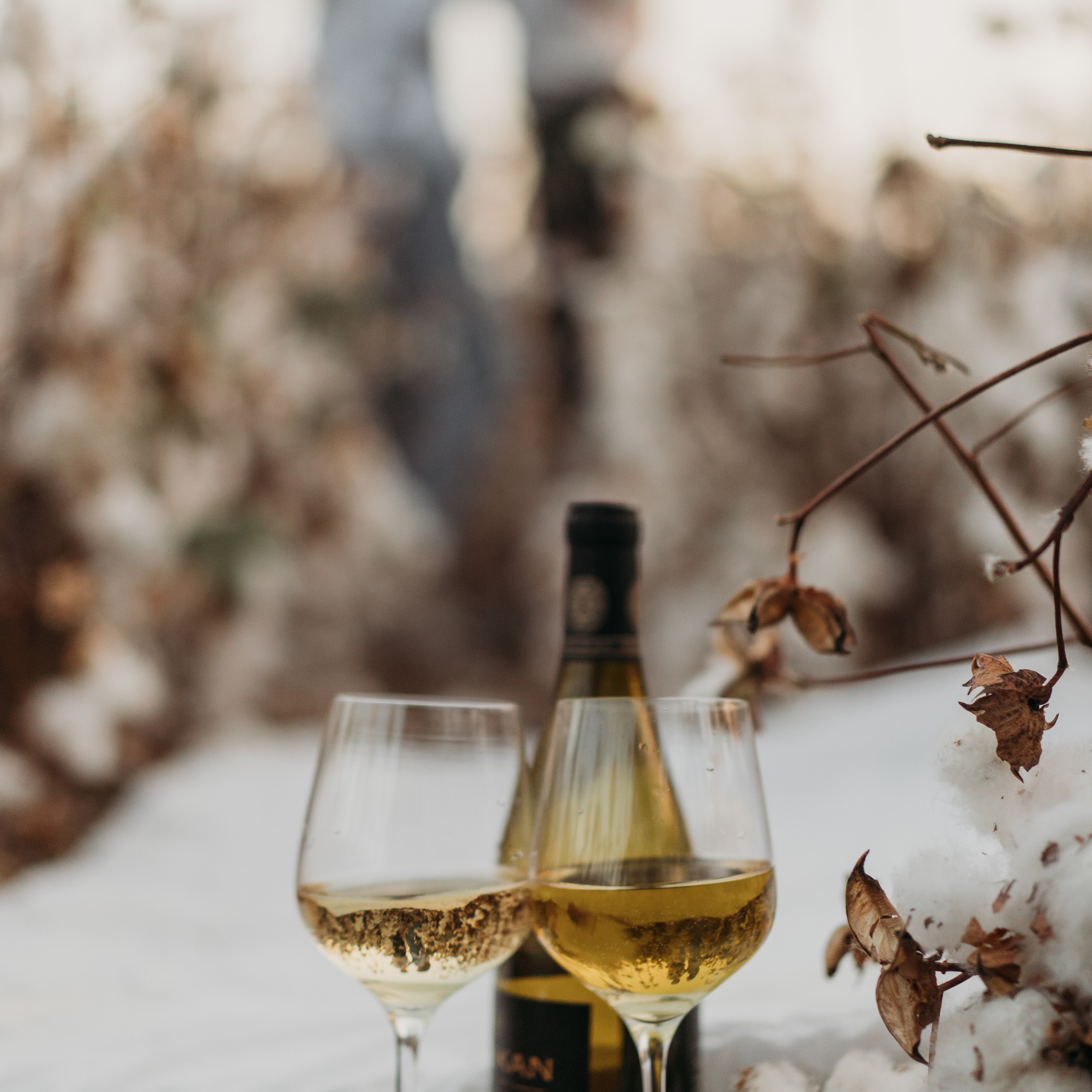 Отзывы. Семейный фотограф в Израиле