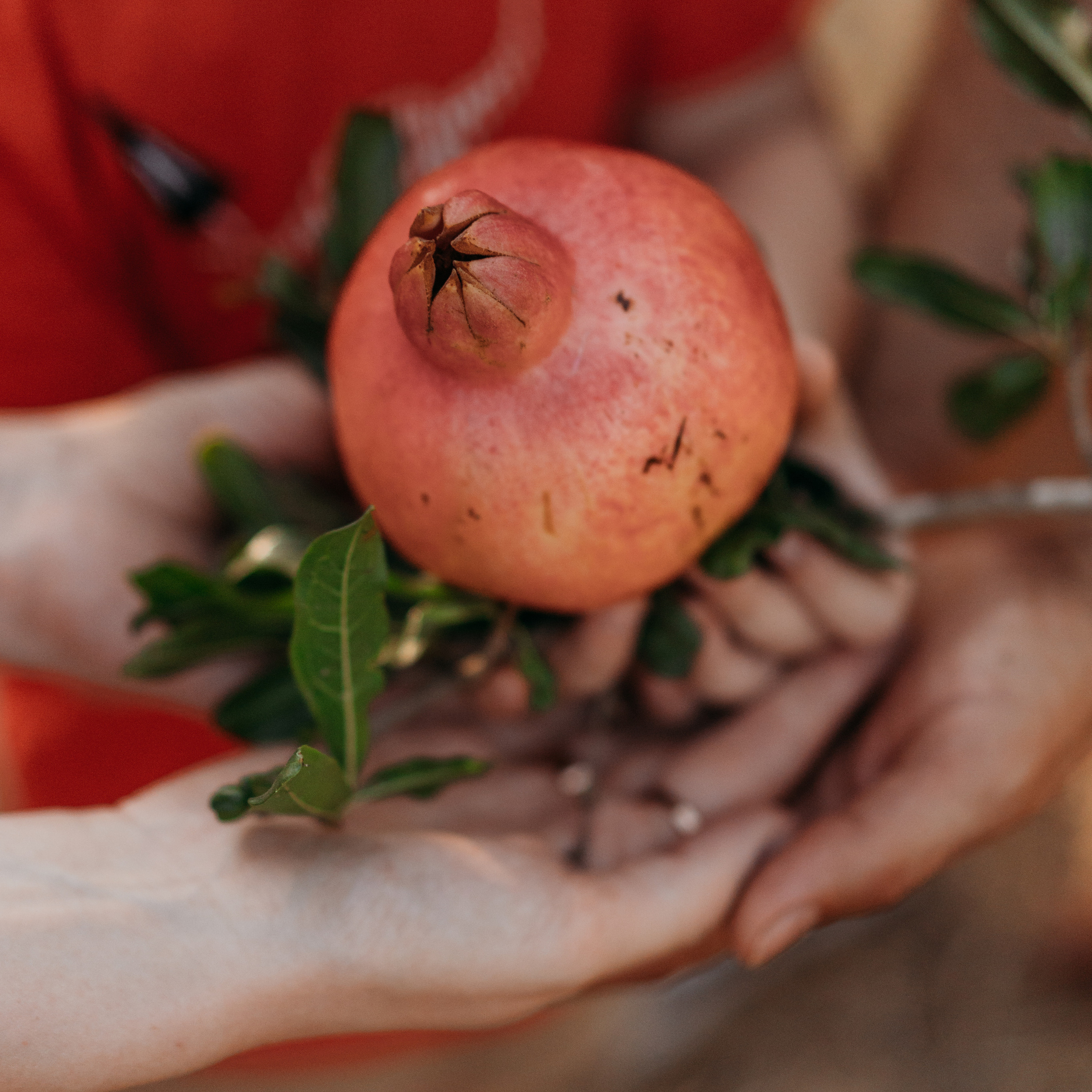 Отзывы. Семейный фотограф в Израиле