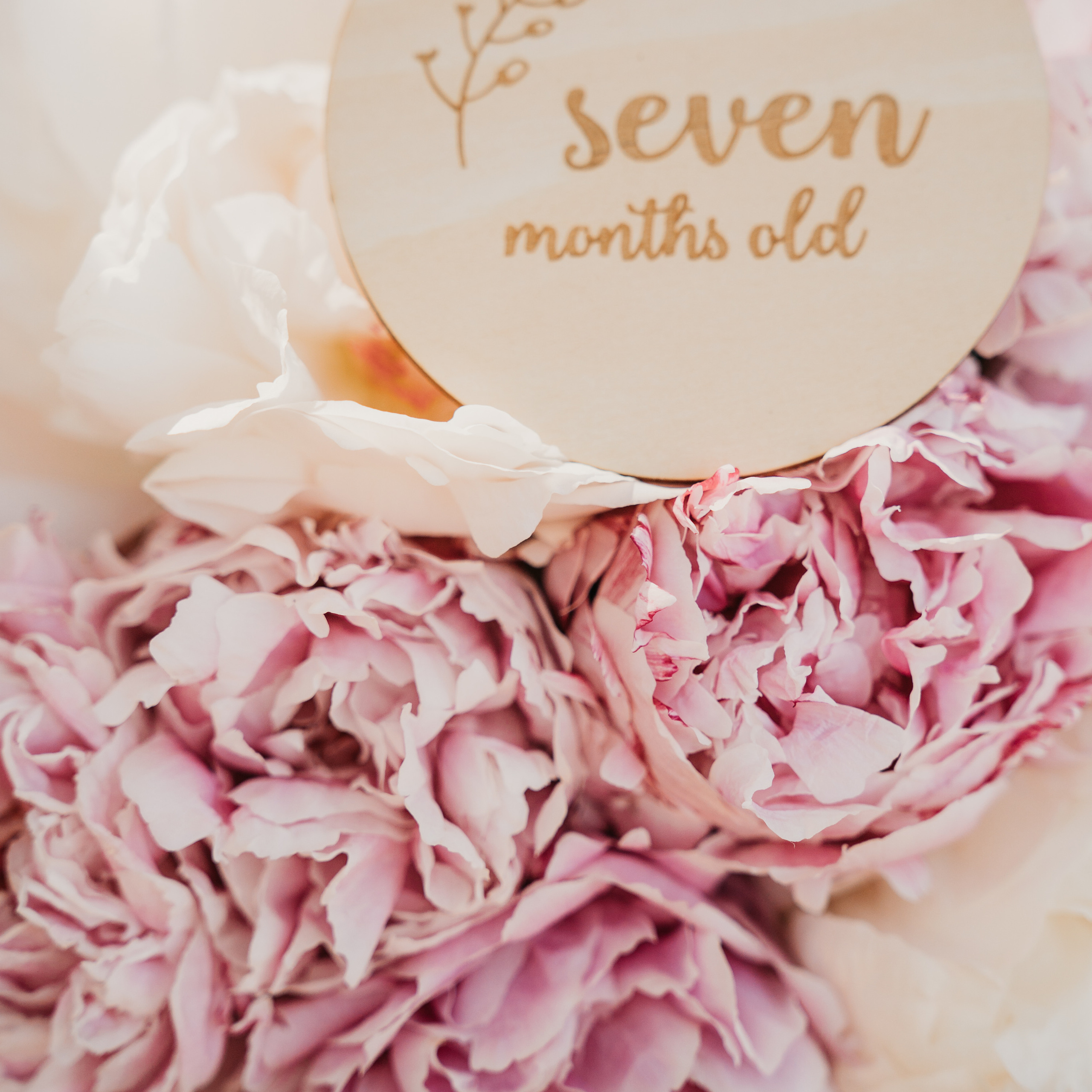 Отзывы. Семейный фотограф в Израиле