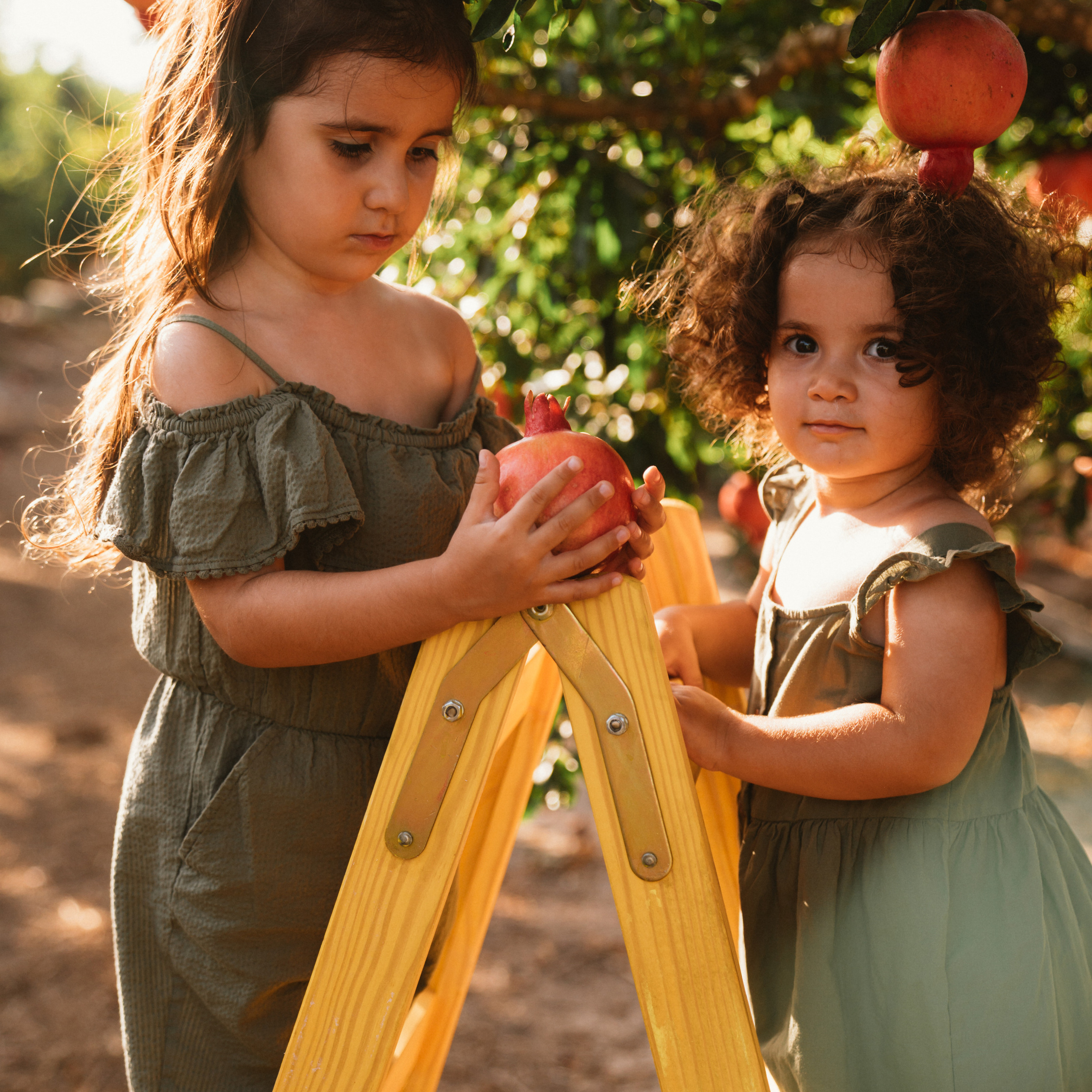 Отзывы. Семейный фотограф в Израиле