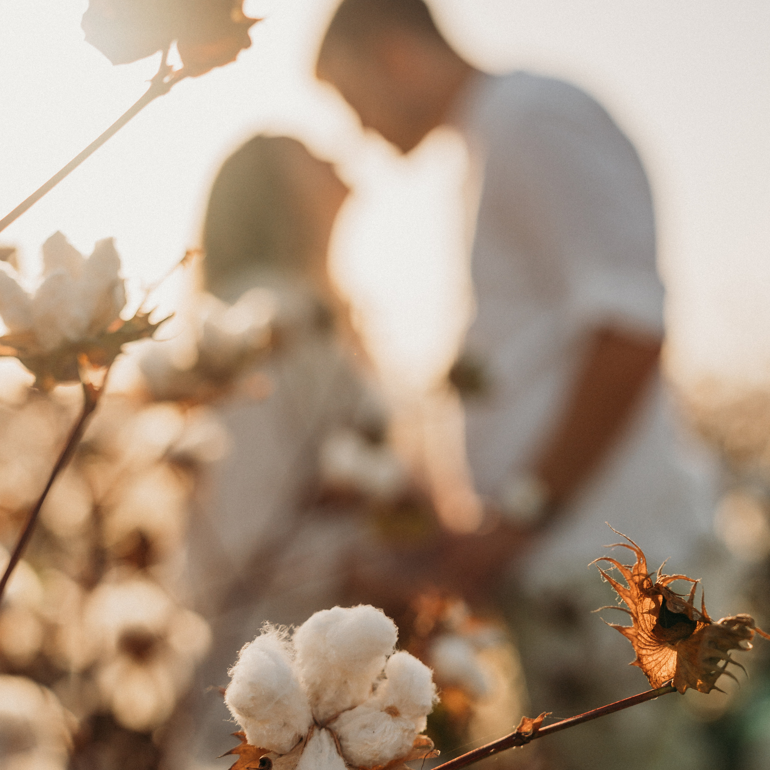 Отзывы. Семейный фотограф в Израиле