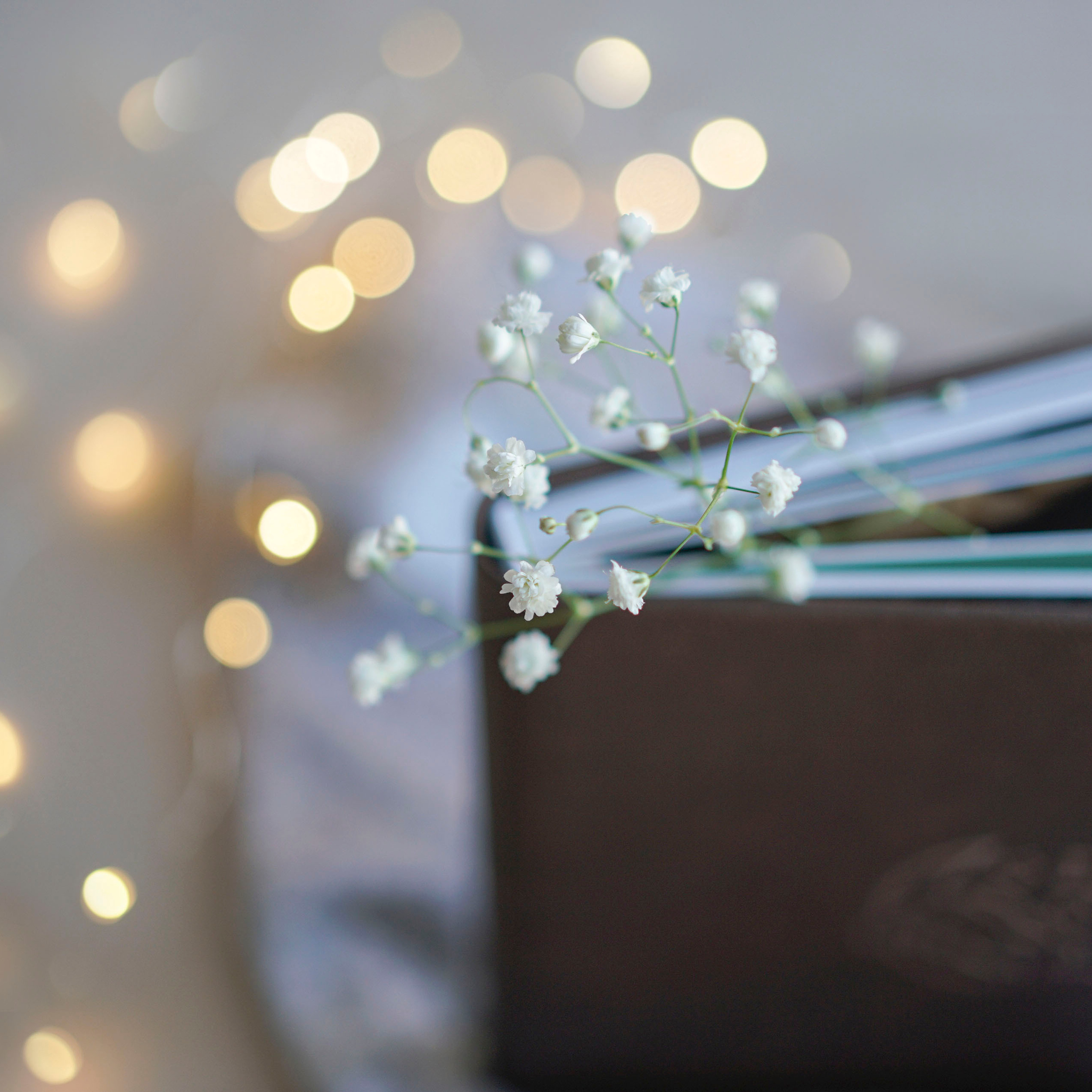 Чудо-книги на долгие годы