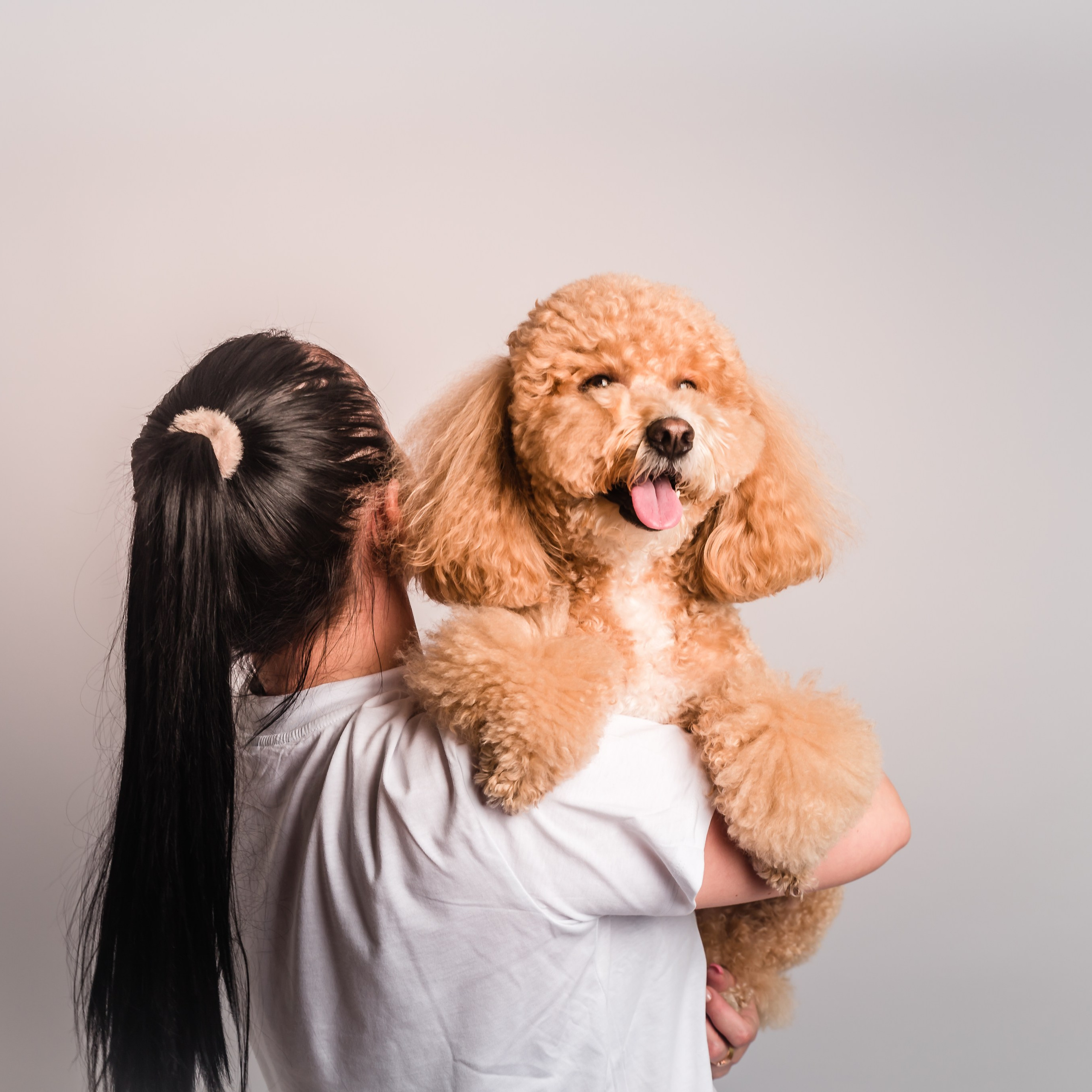 Фотосессия с собакой