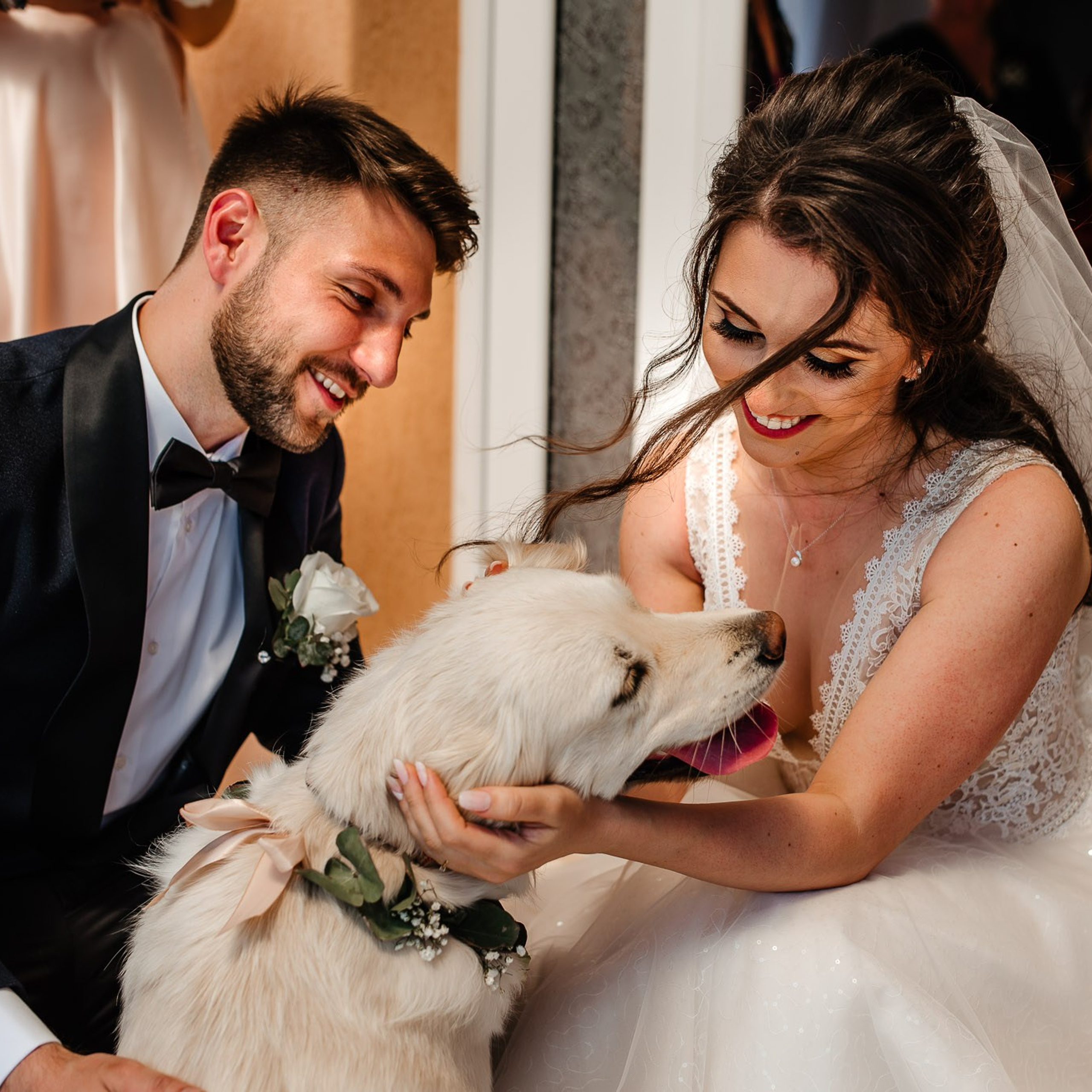 Nuntă&nbsp;— Flavia și Alexandru