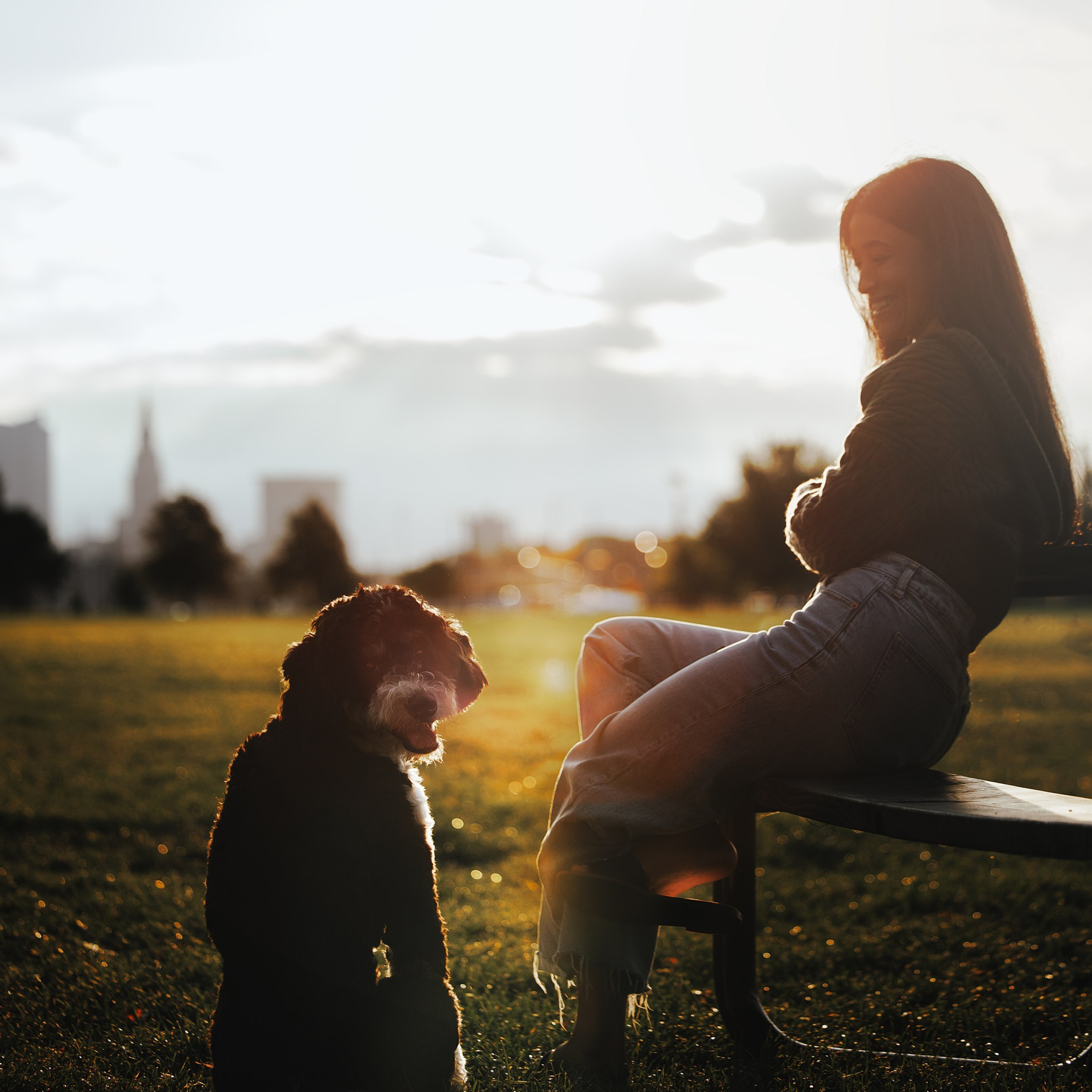 Testimonials. Pet Photographer Viktoriya