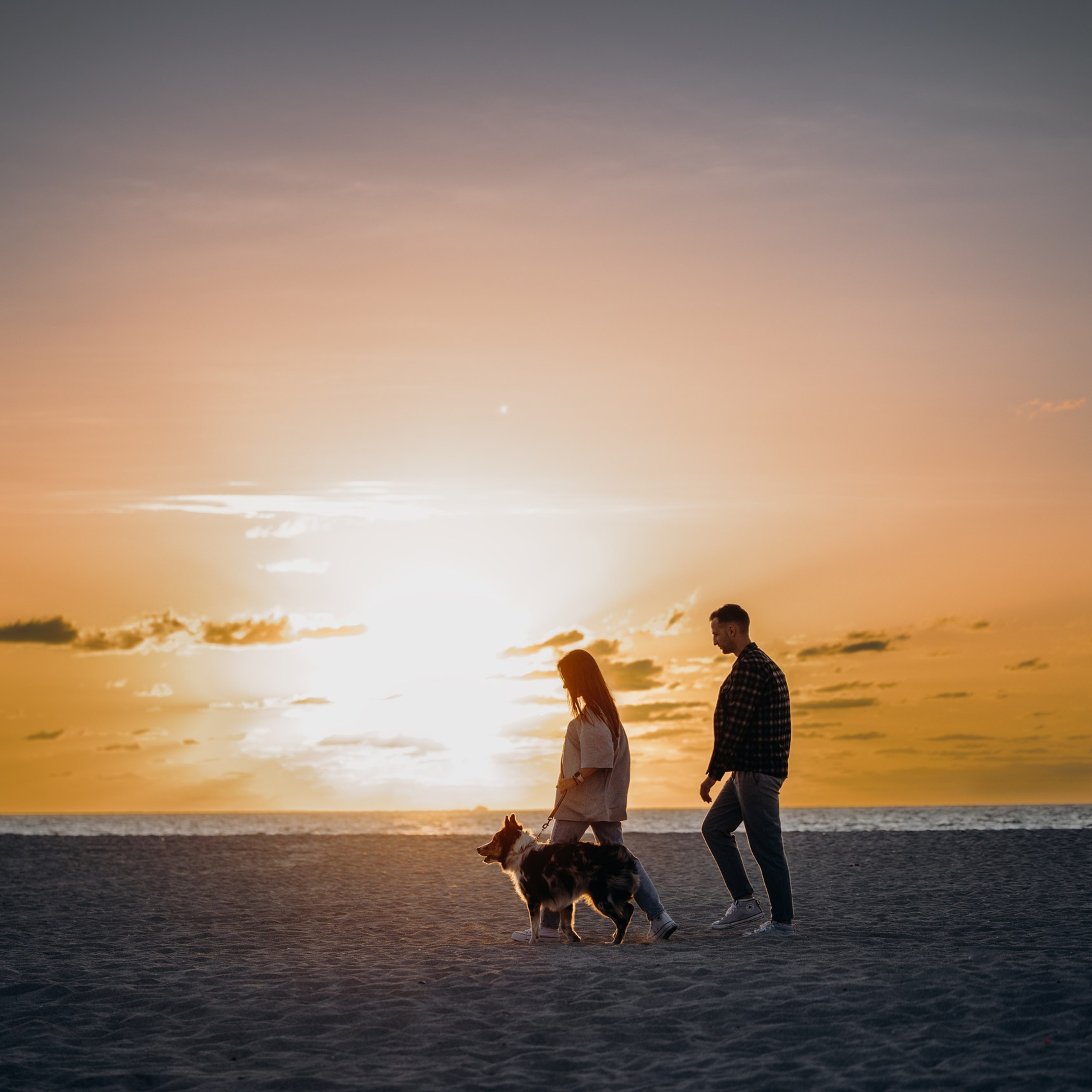 Testimonials. Pet Photographer Viktoriya Aleshenko