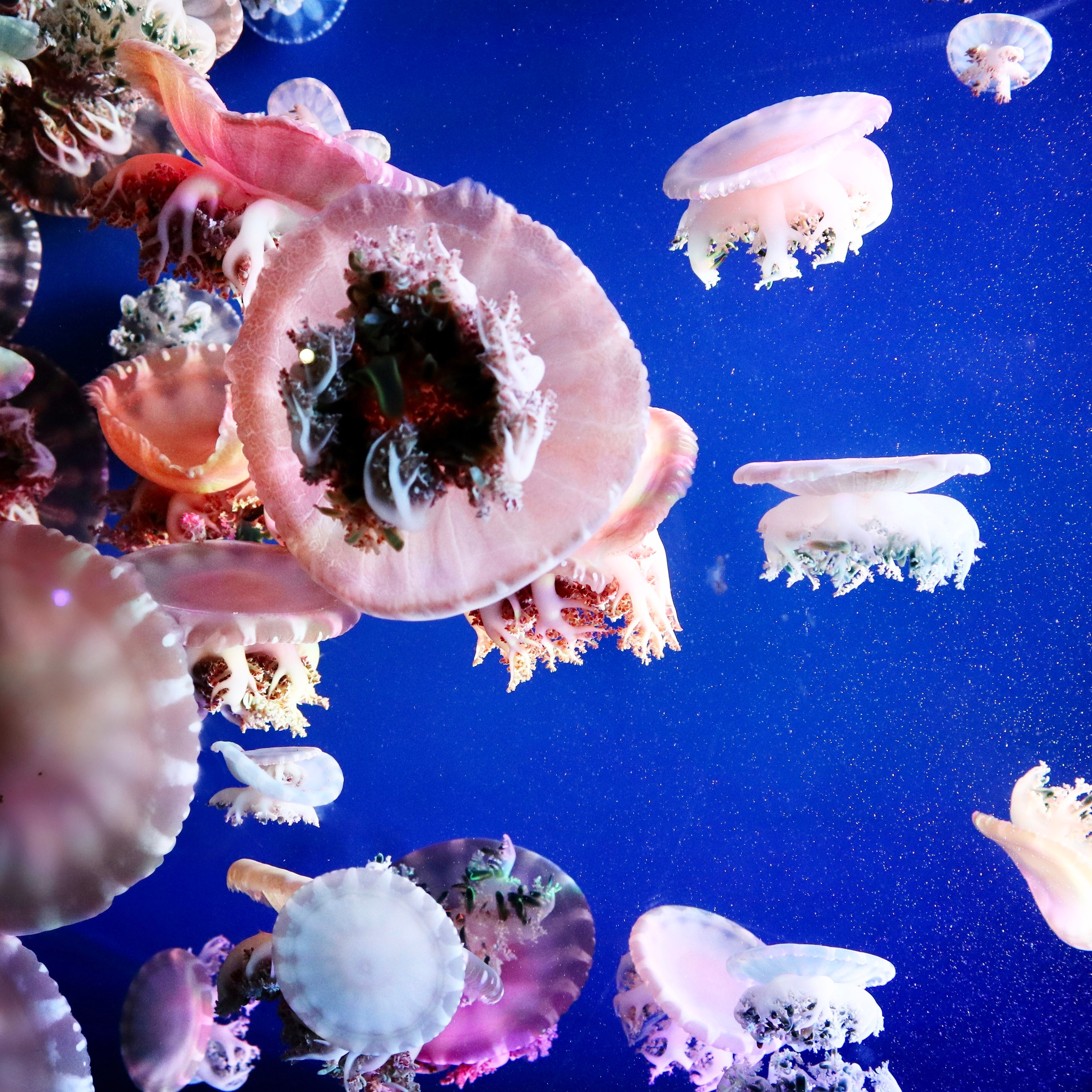 Путешествия. Фотограф Ольга Филимонова