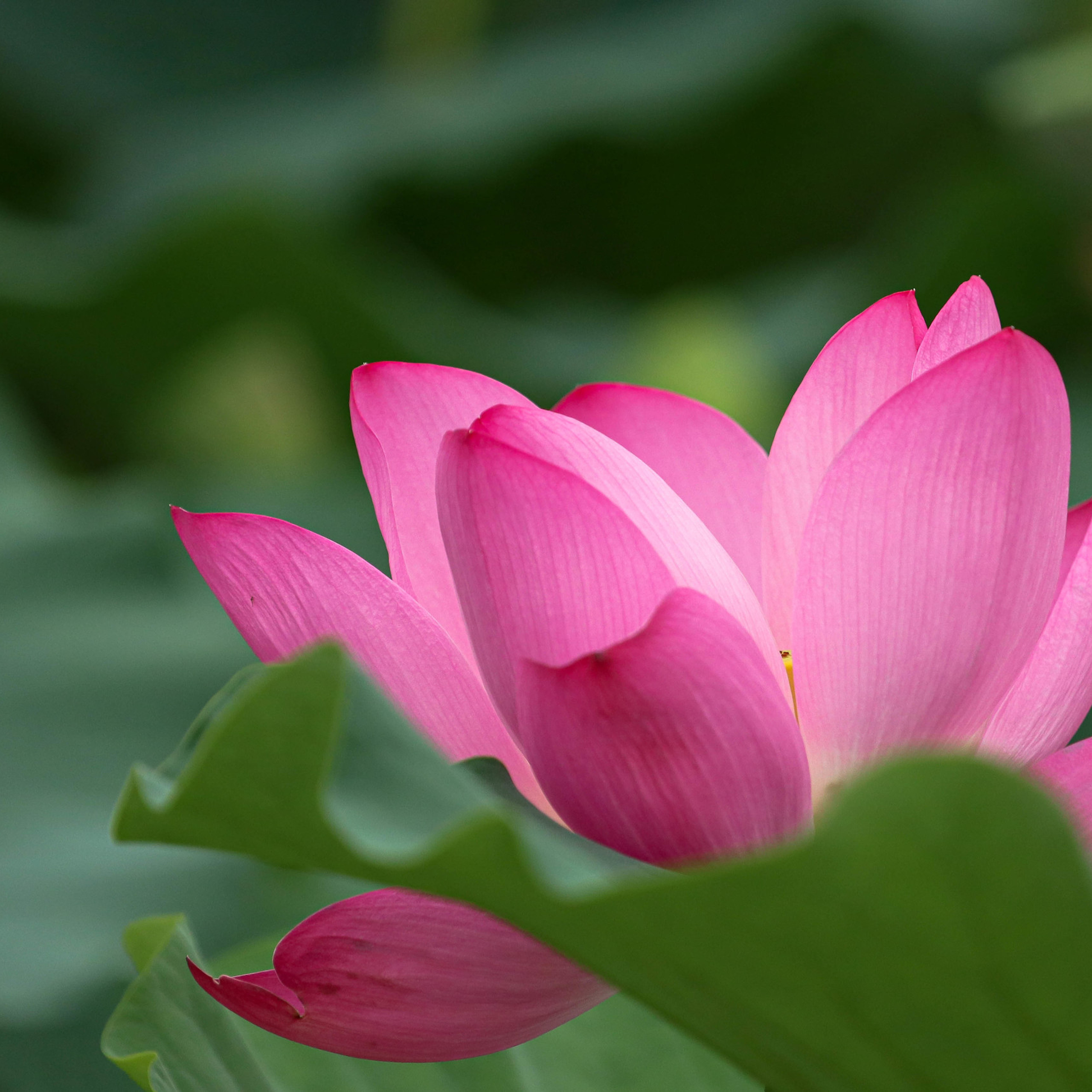 Путешествия. Фотограф Ольга Филимонова