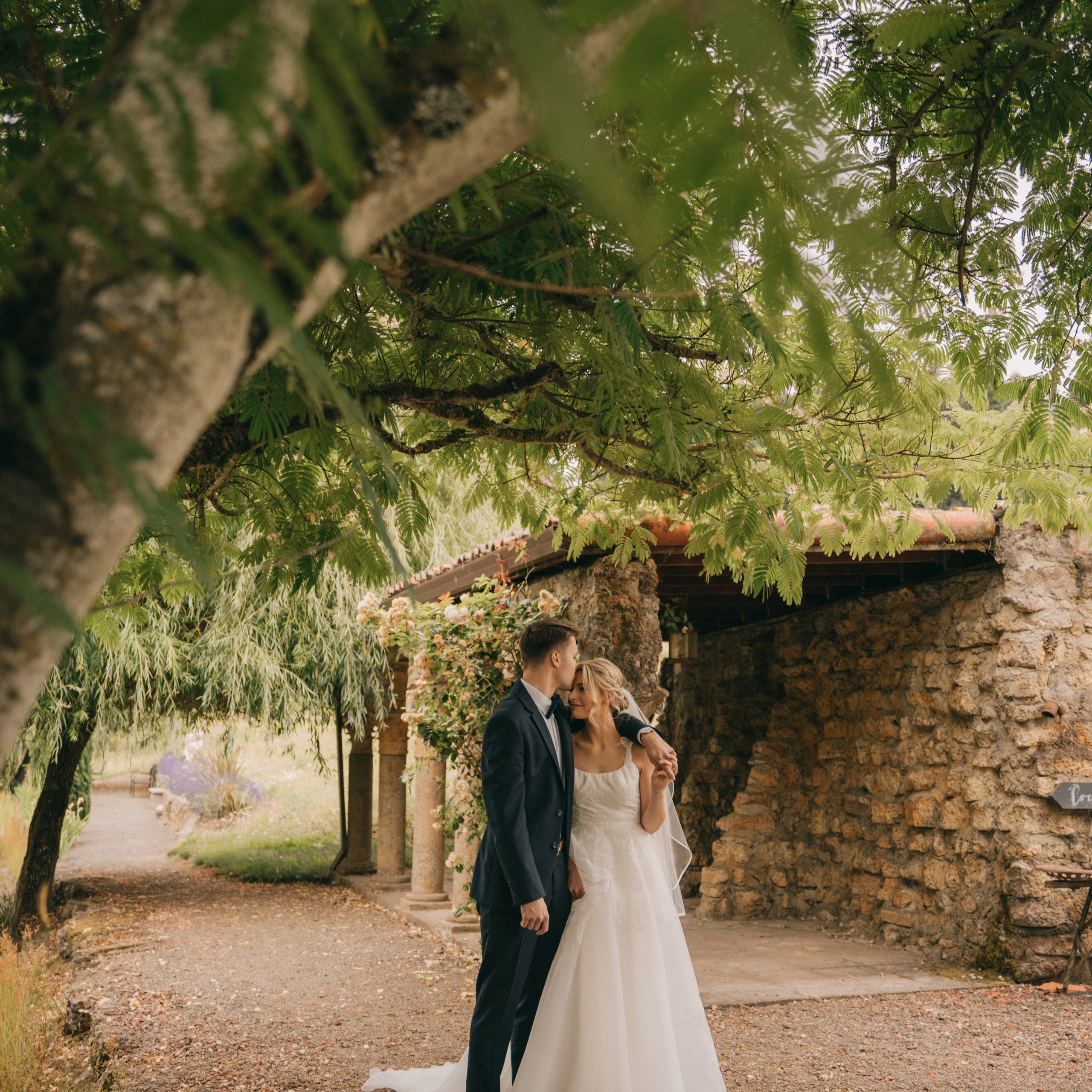 Testimonials. Wedding, family and portrait photographer in Portland