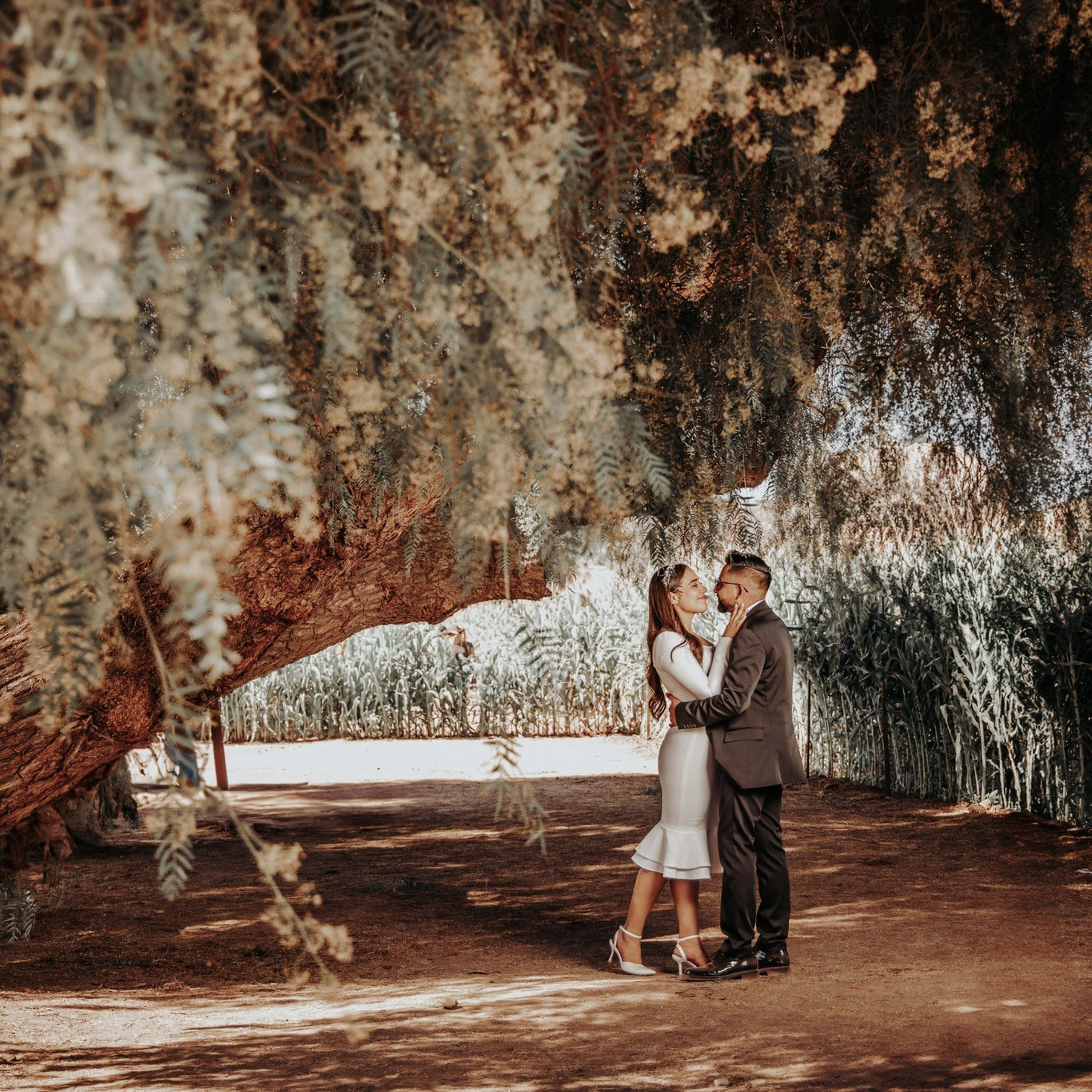 Alma & Ulises (Save The Date)