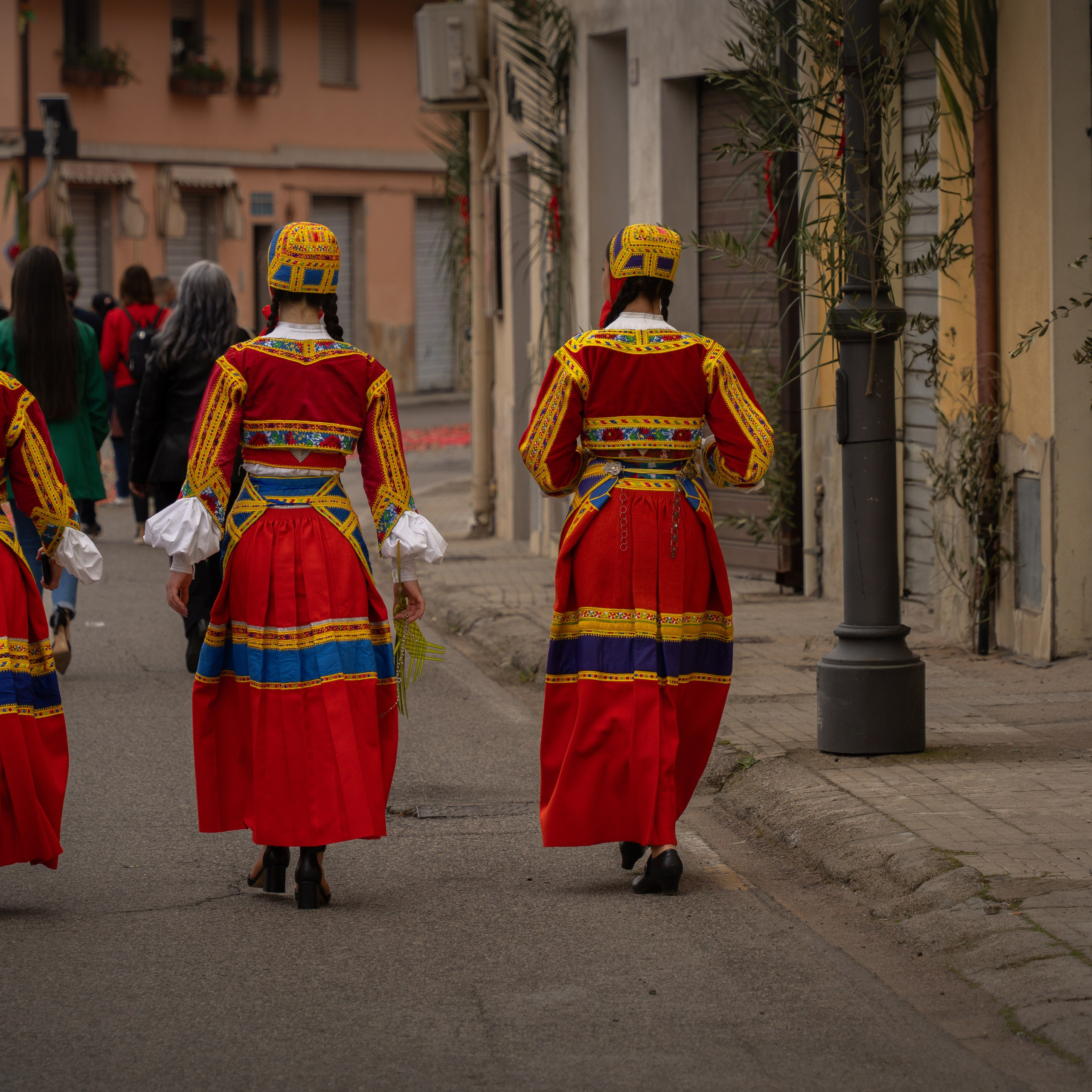 Domenica delle palme