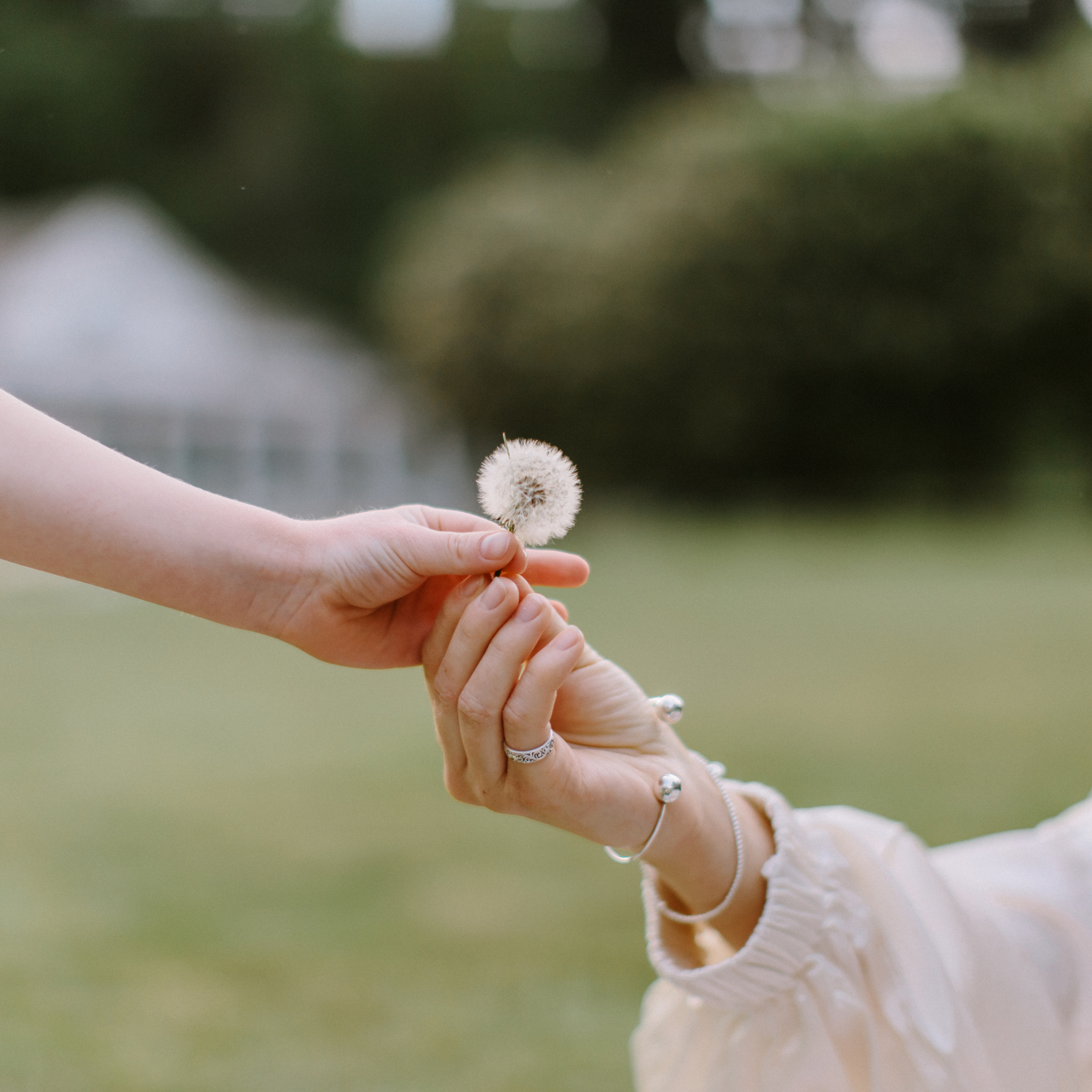 Feedback. Maria Chistyakovа — Fotografin in Karlsruhe, Baden-Baden und Umgebung
