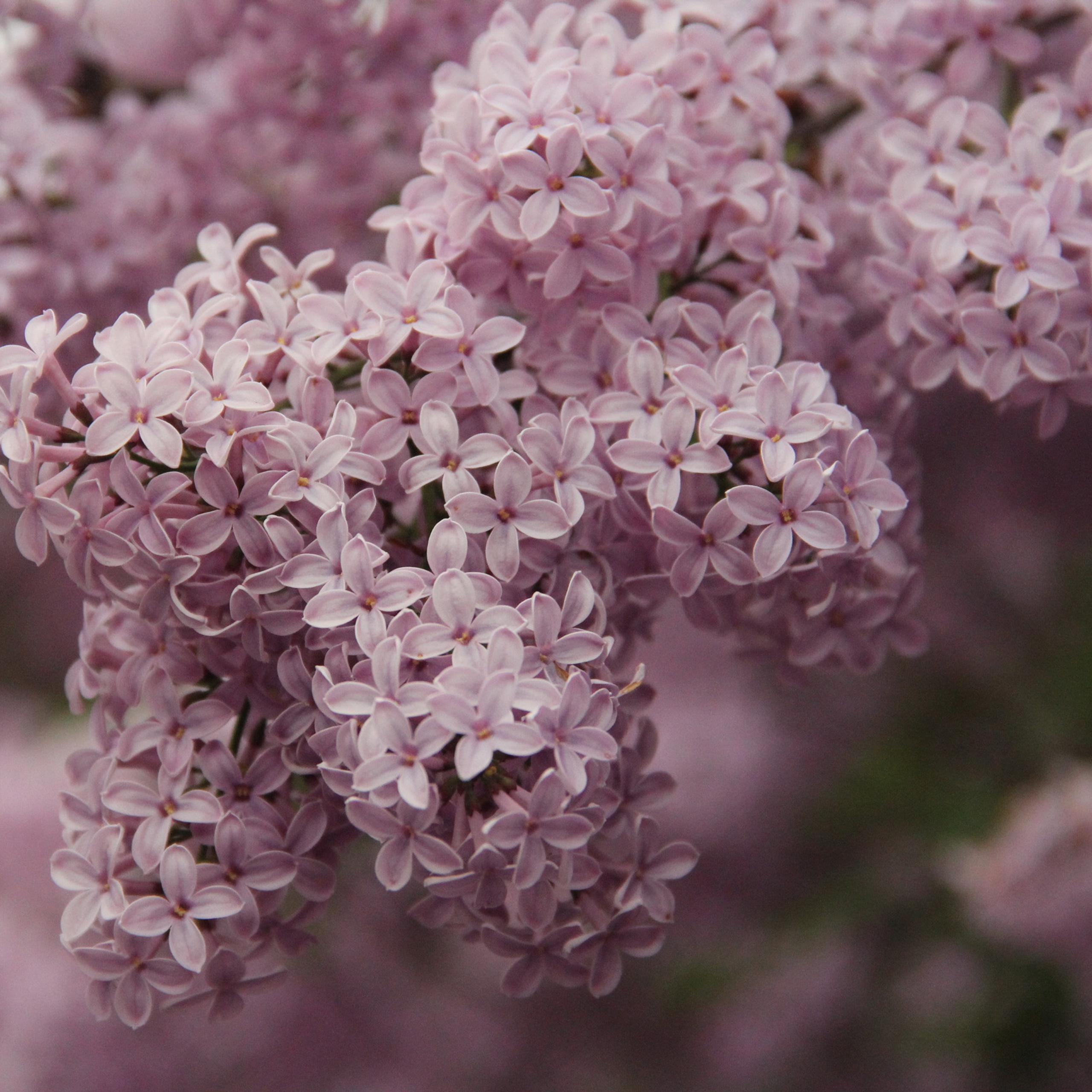 Feedback. Maria Chistyakovа — Fotografin in Karlsruhe, Baden-Baden und Umgebung