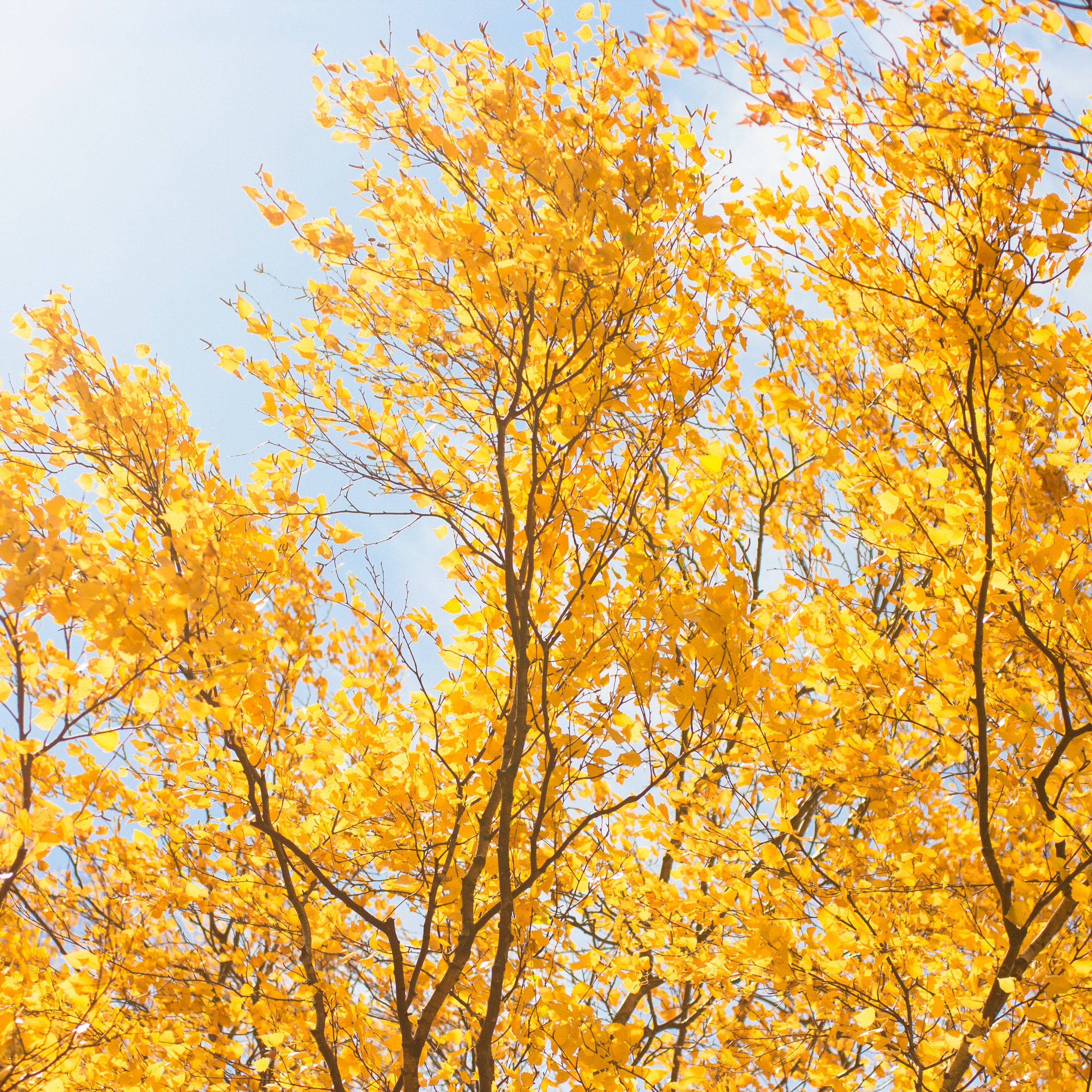 Синяя труба в Карлсруэ. Фотограф в Германии — Мария Чистякова