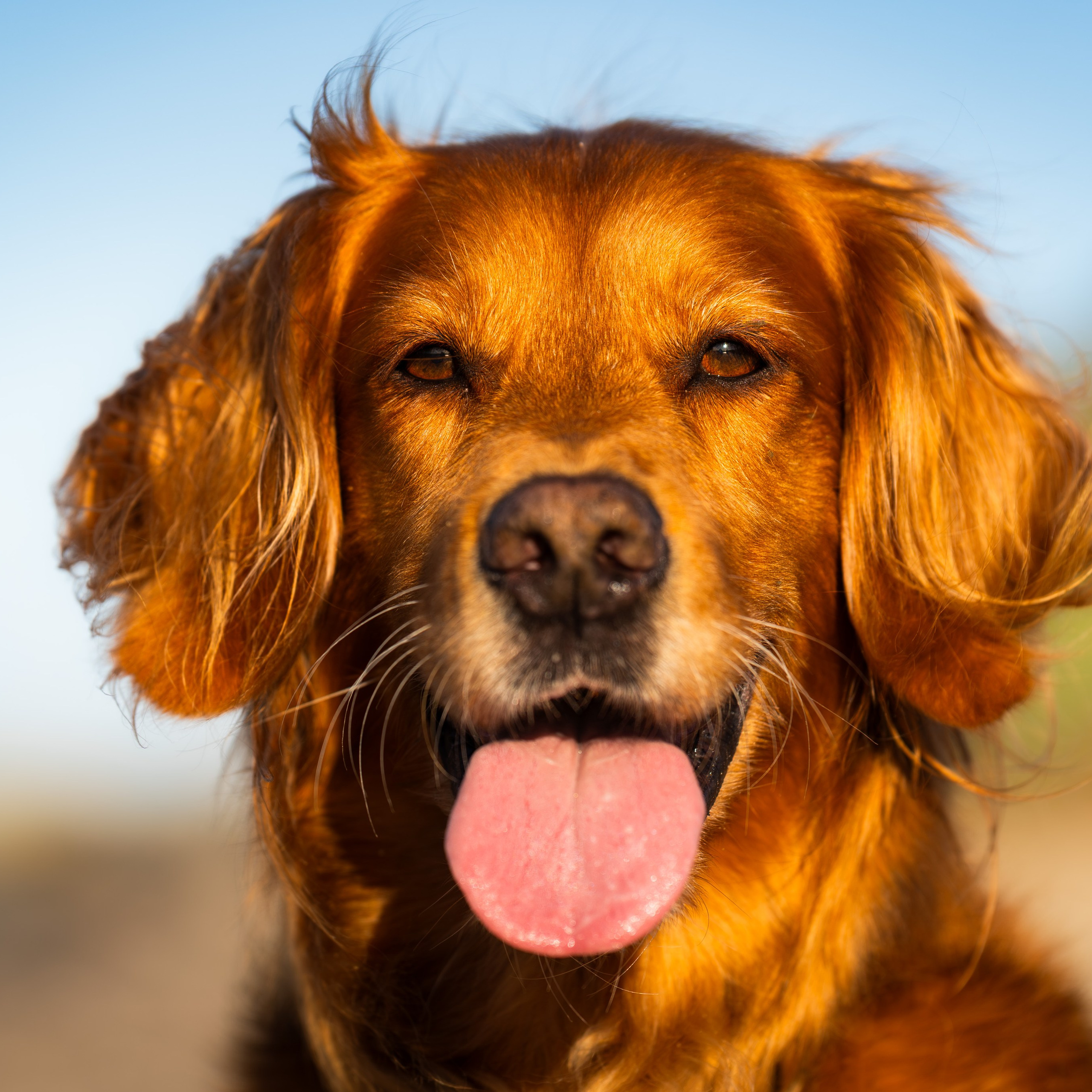 Referenzen. Thorben Ihler - Dein Fotograf aus Emden