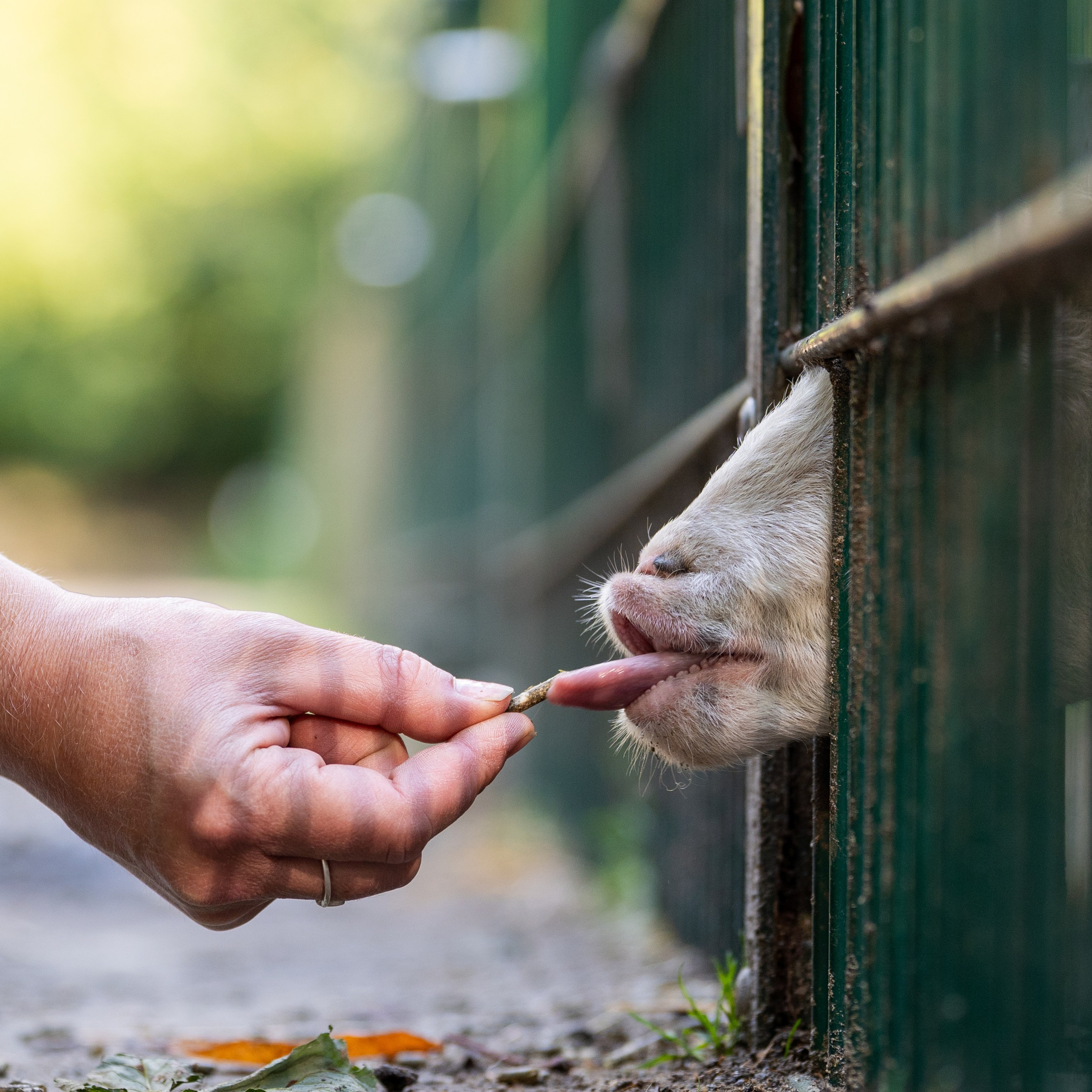 Referenzen. Thorben Ihler - Dein Fotograf aus Emden