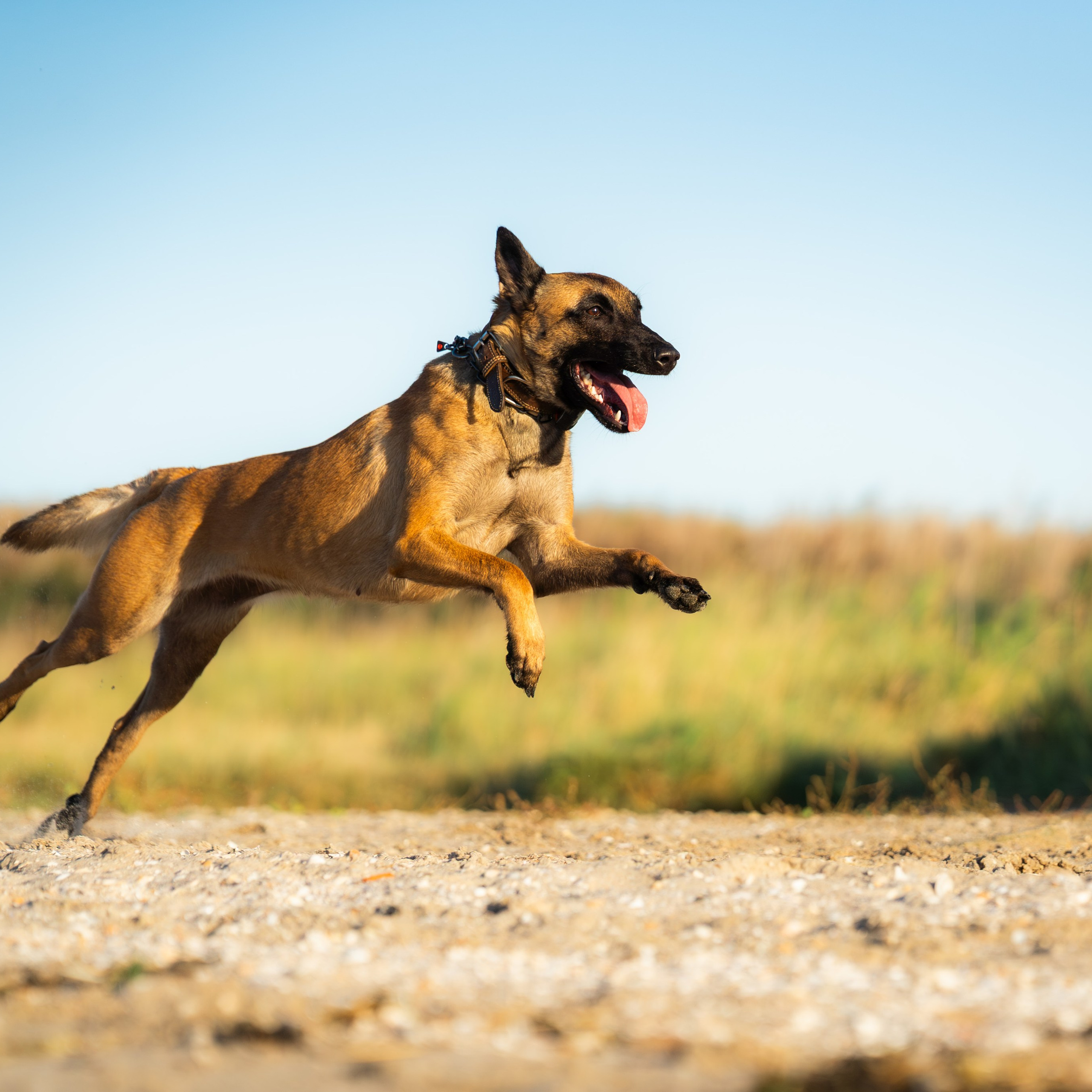 Referenzen. Thorben Ihler - Dein Fotograf aus Emden