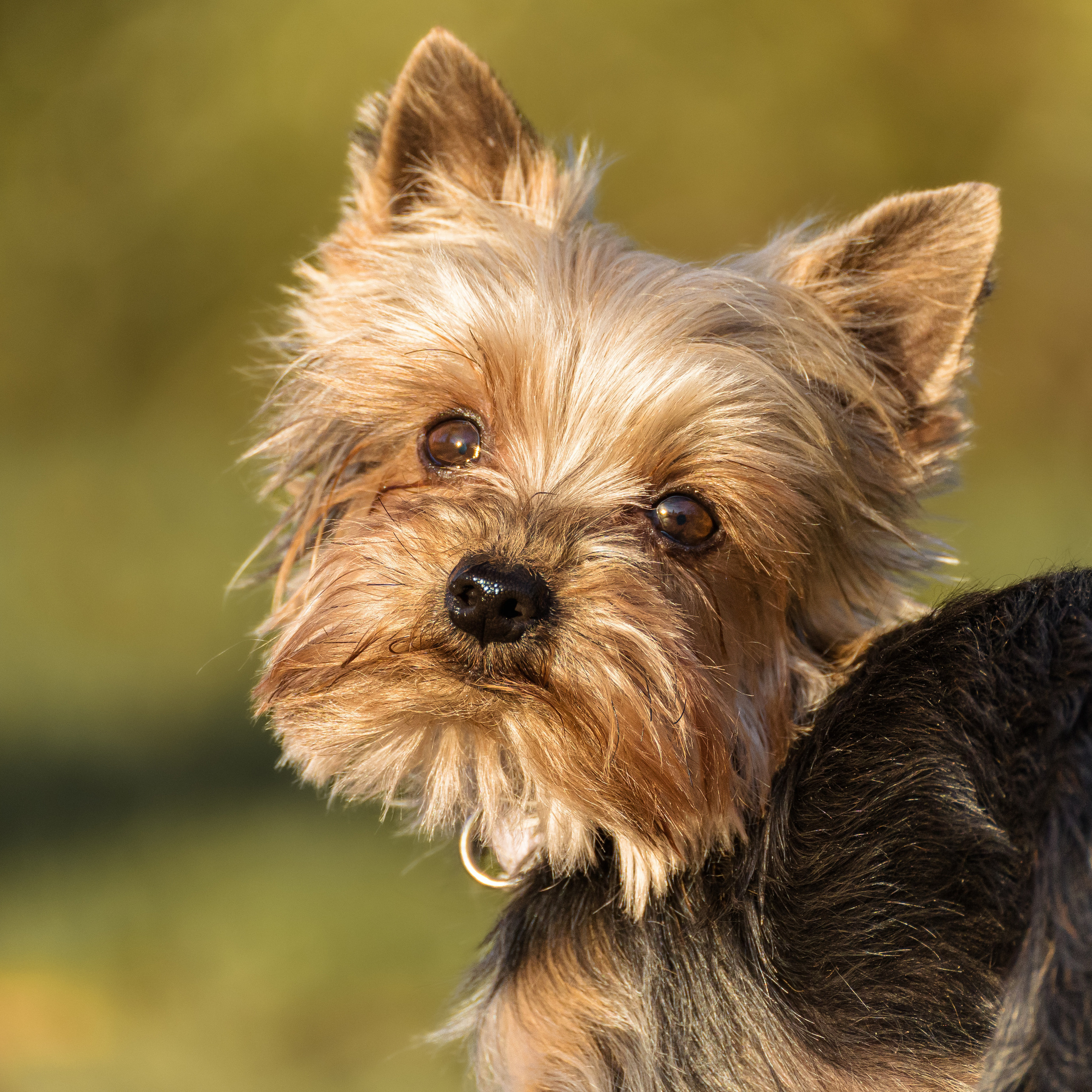 Referenzen. Thorben Ihler - Dein Fotograf aus Emden