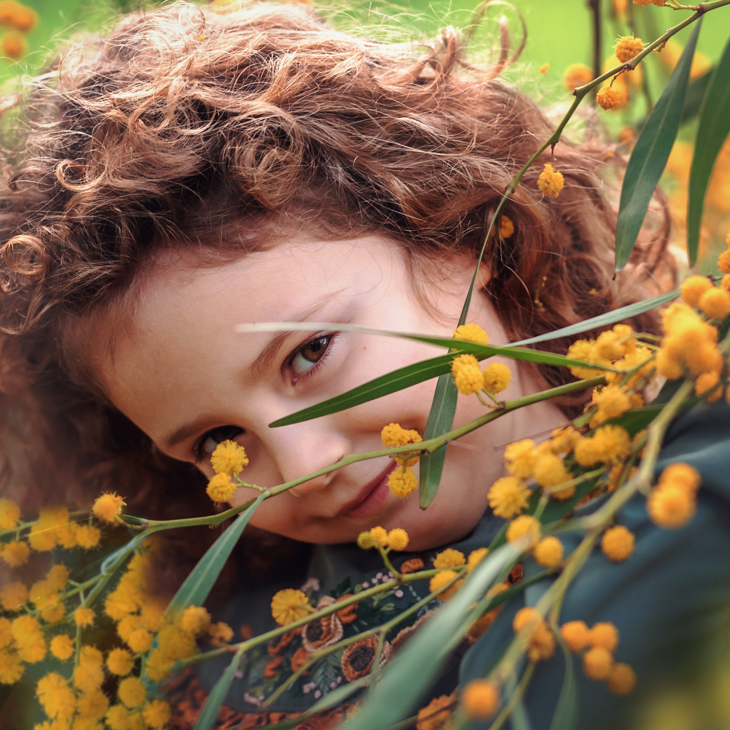 Blooming island of Malta
