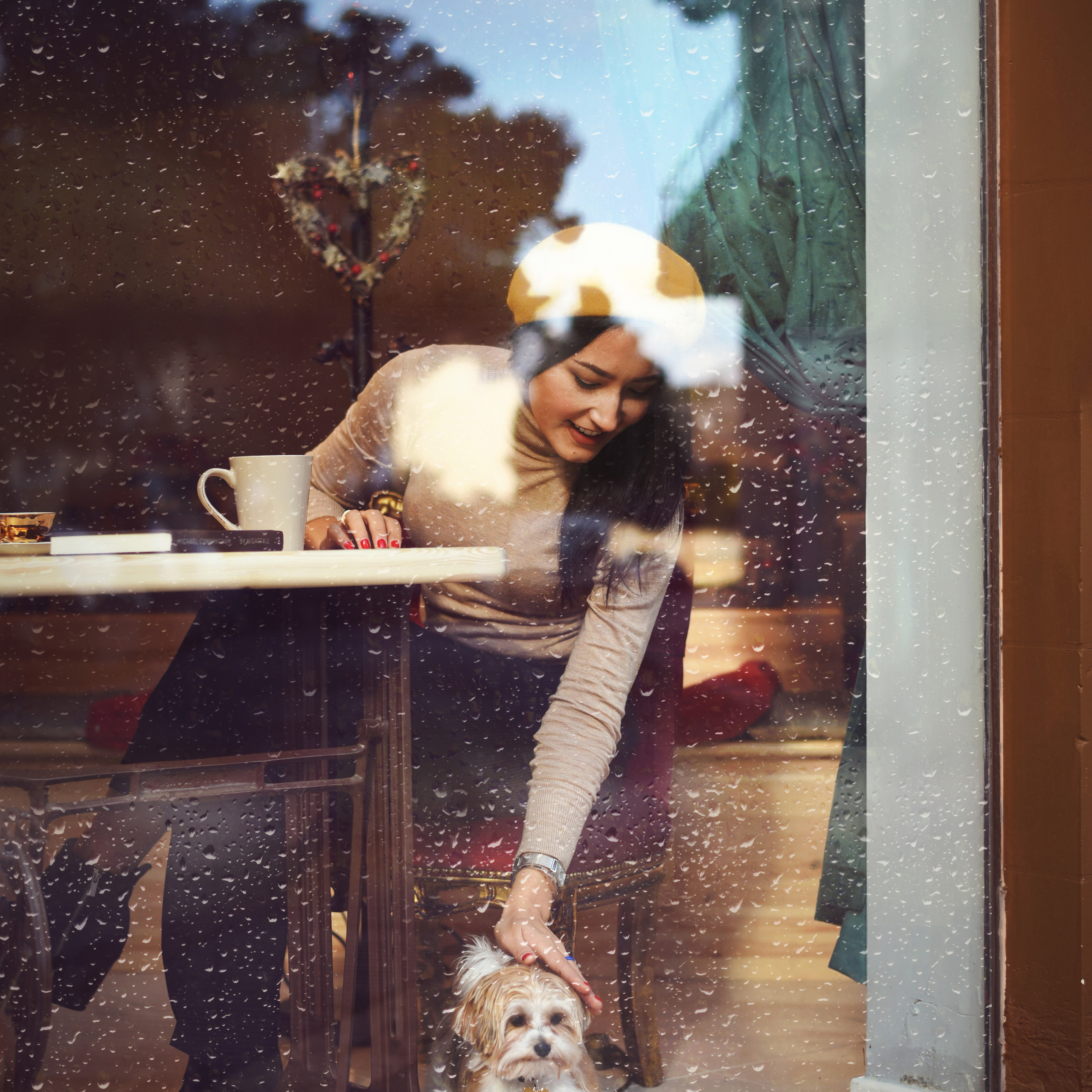 Morning of a cozy day