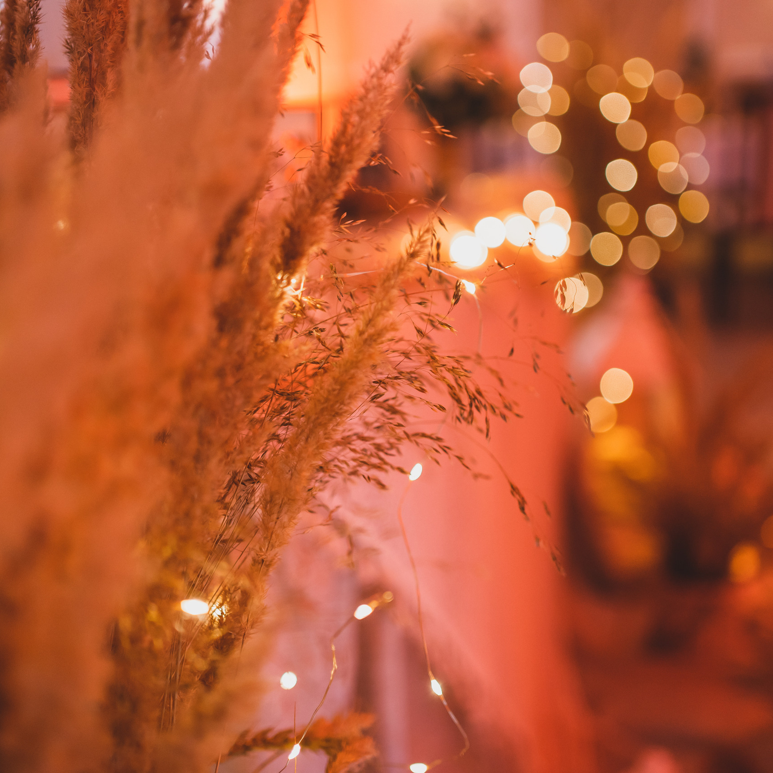 YOUR FEEDBACK. Montenegro photographer and videographer