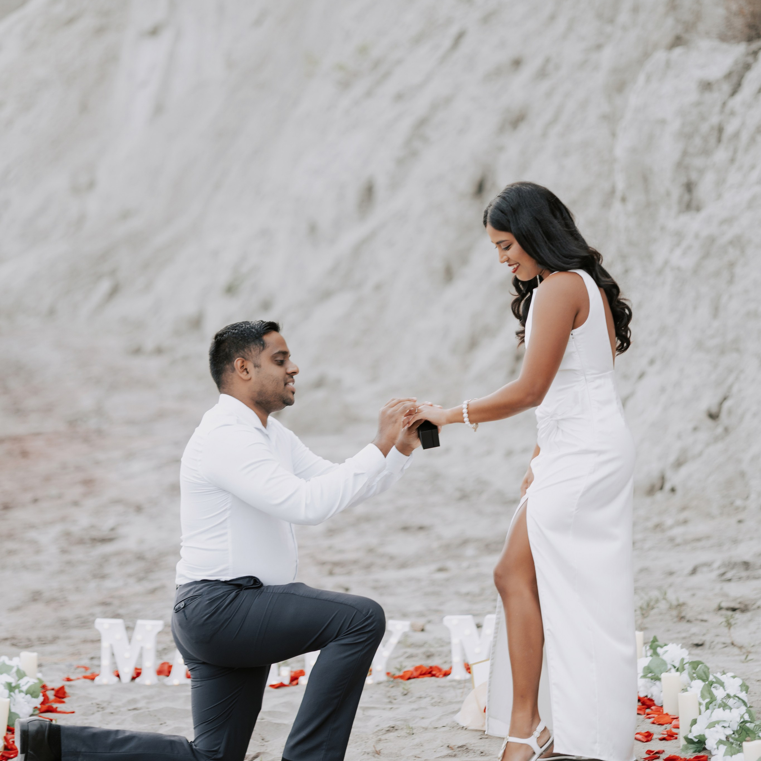 Proposal Scarborough Bluffs