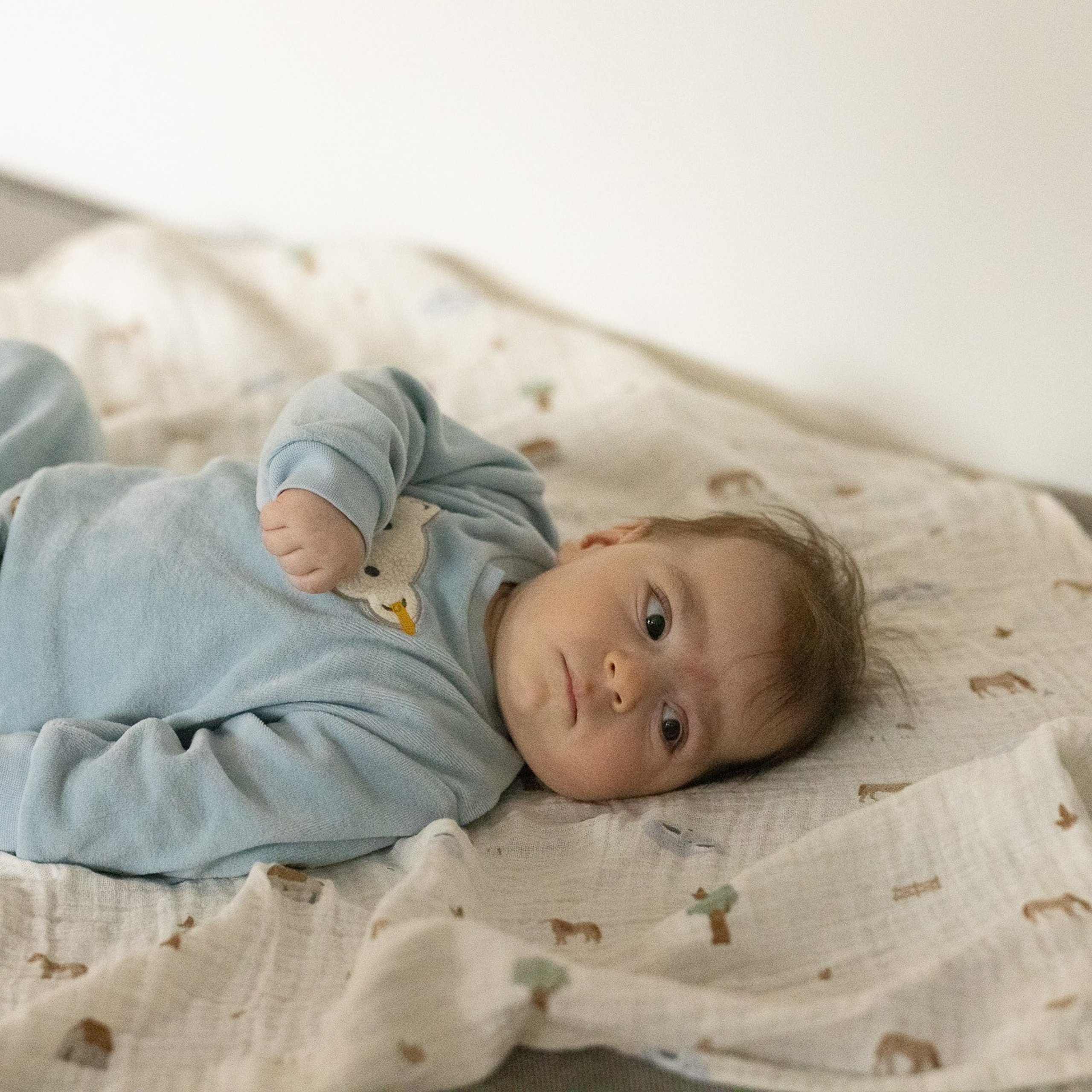 Testimonials. Family photographer Zurich & Switzerland Daria Moore